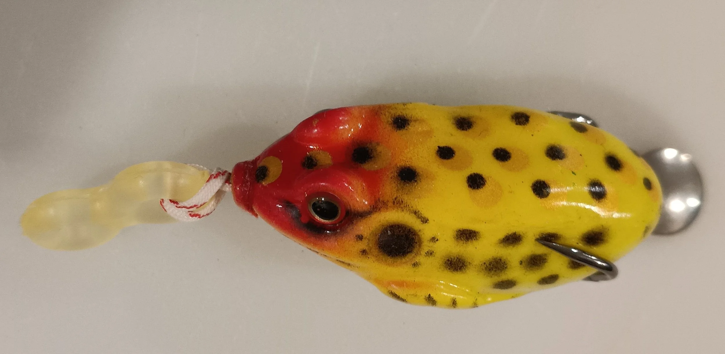 finnovations spring frog attached to figure eight springer. fishooka figure eight. finnovations.shop