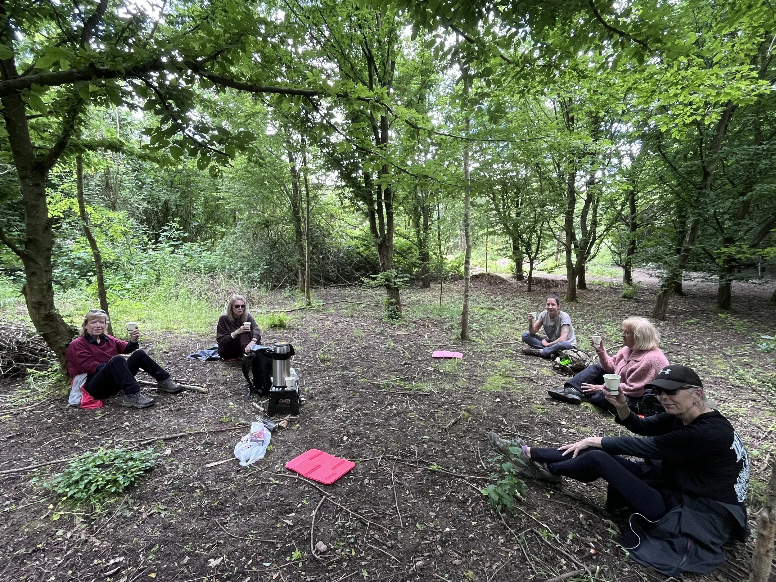 Group of five women sitting on the ground in a forested area, enjoying drinks and snacks, with trees and green foliage overhead.