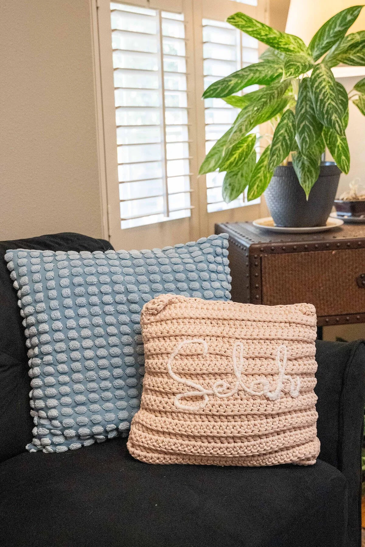 Close-up of two decorative pillows on a black sofa, one blue with textured pom-pom dots and the other beige with white embroidered text. In the background is a wooden table with a large potted plant, and a window with white plantation shutters.