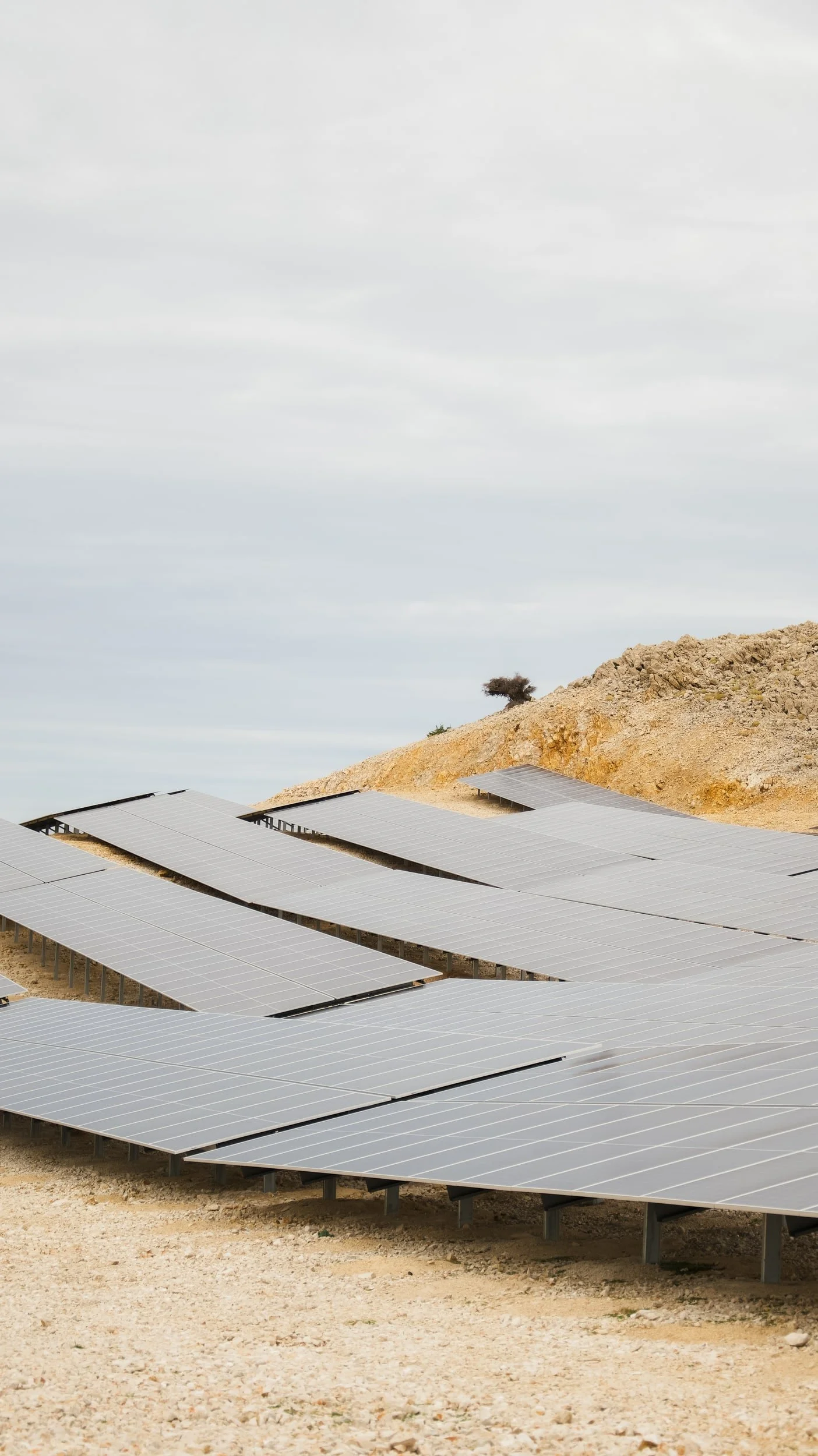 Solar panels installed on the ground on a sunny day with a cloudy sky and a small tree on a hill in the background.