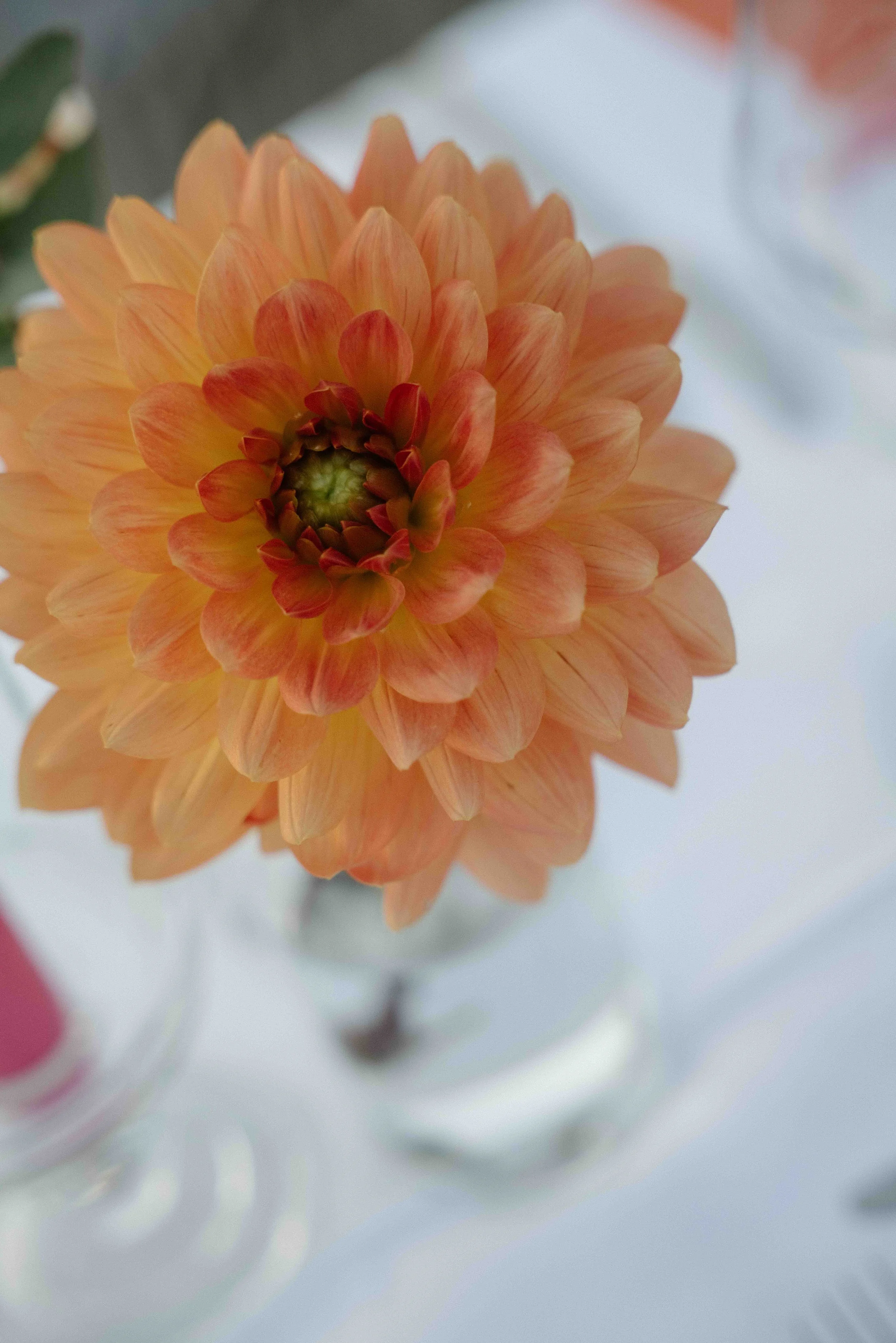 mariage wedding beach plage-CharlènePélutPhotographes-723.jpg