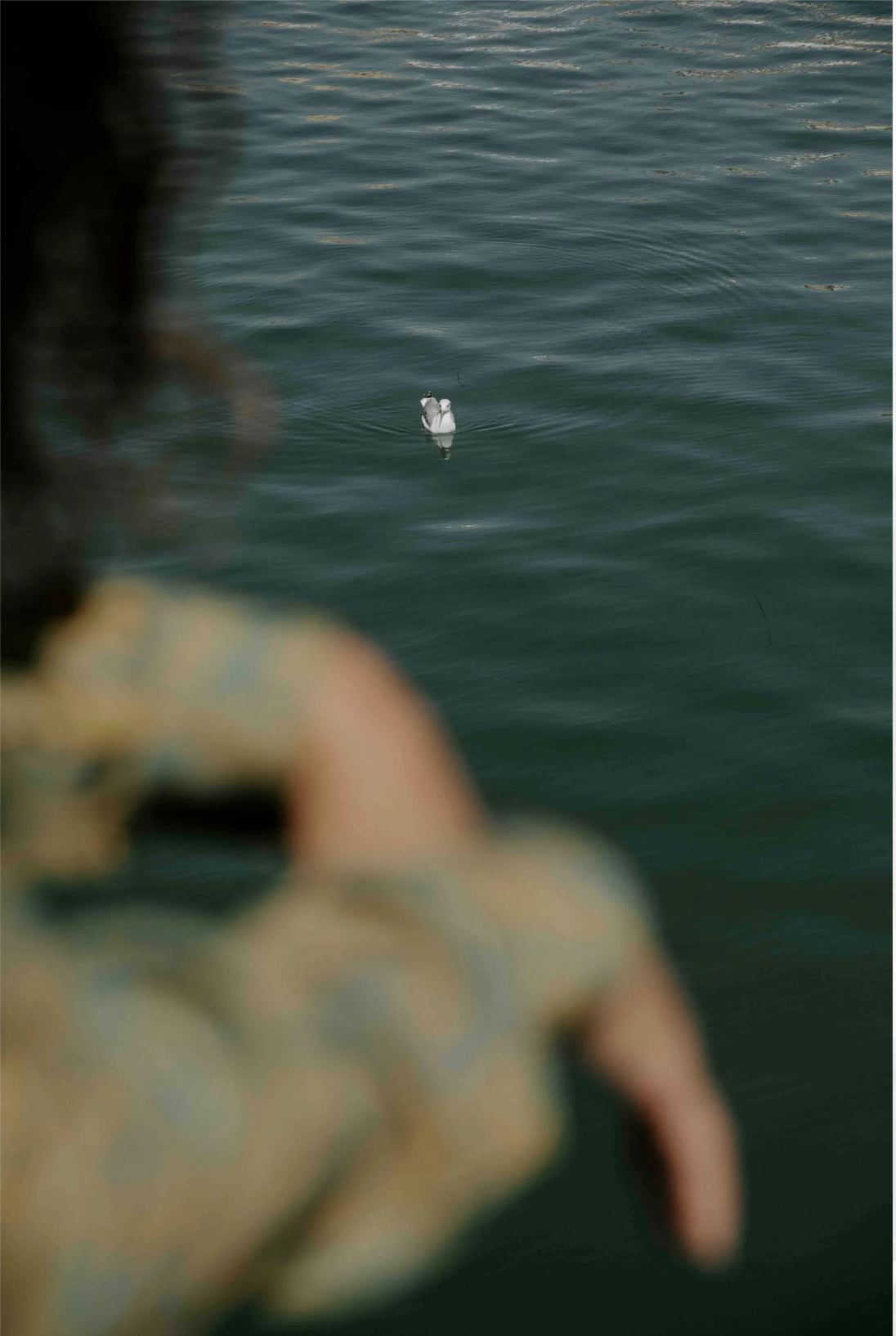Capture d’écran 2026-08-18 à 2.42.52 PM.png