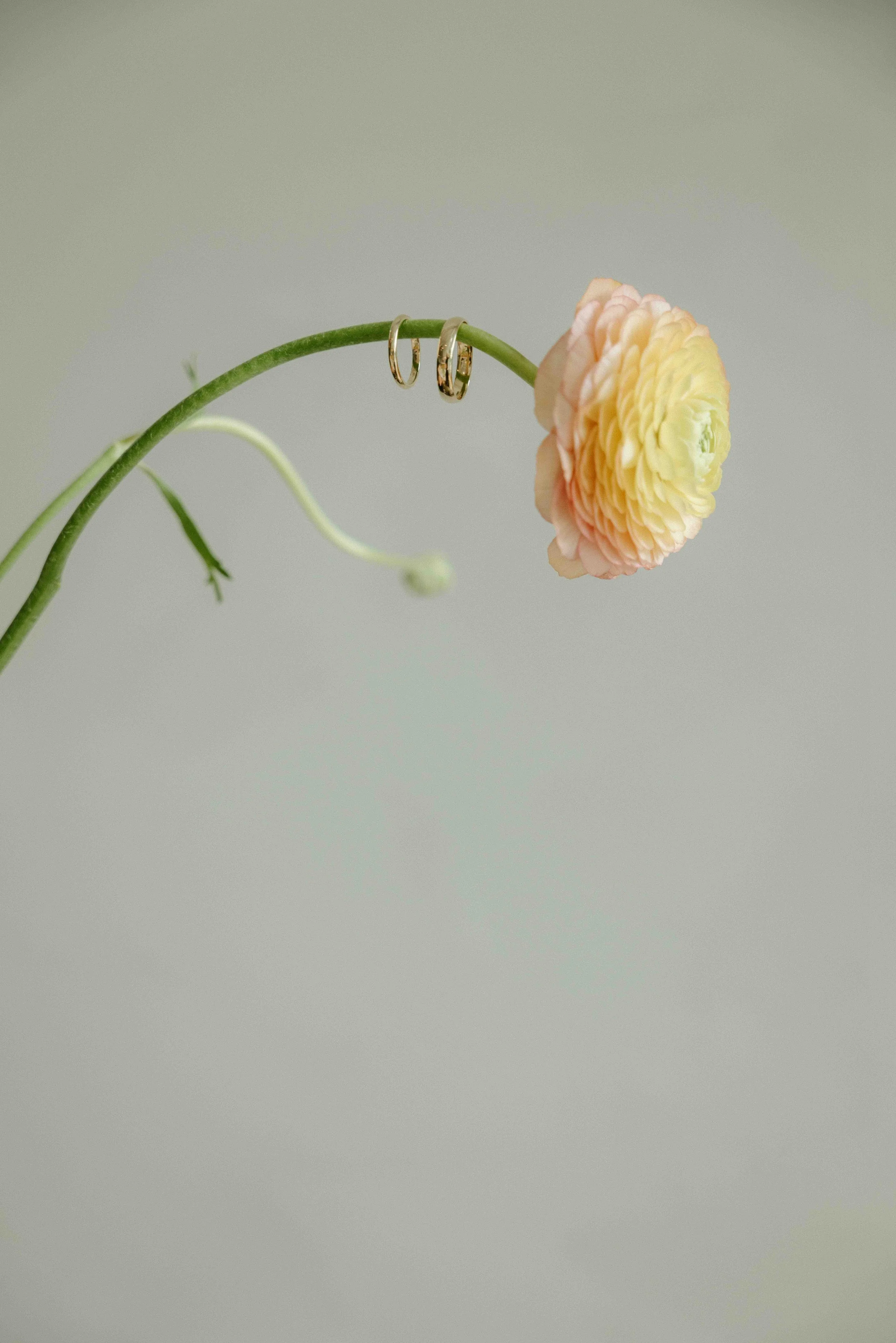 GRACEETJACOB-CharlènePélutPhotographes-132.jpg