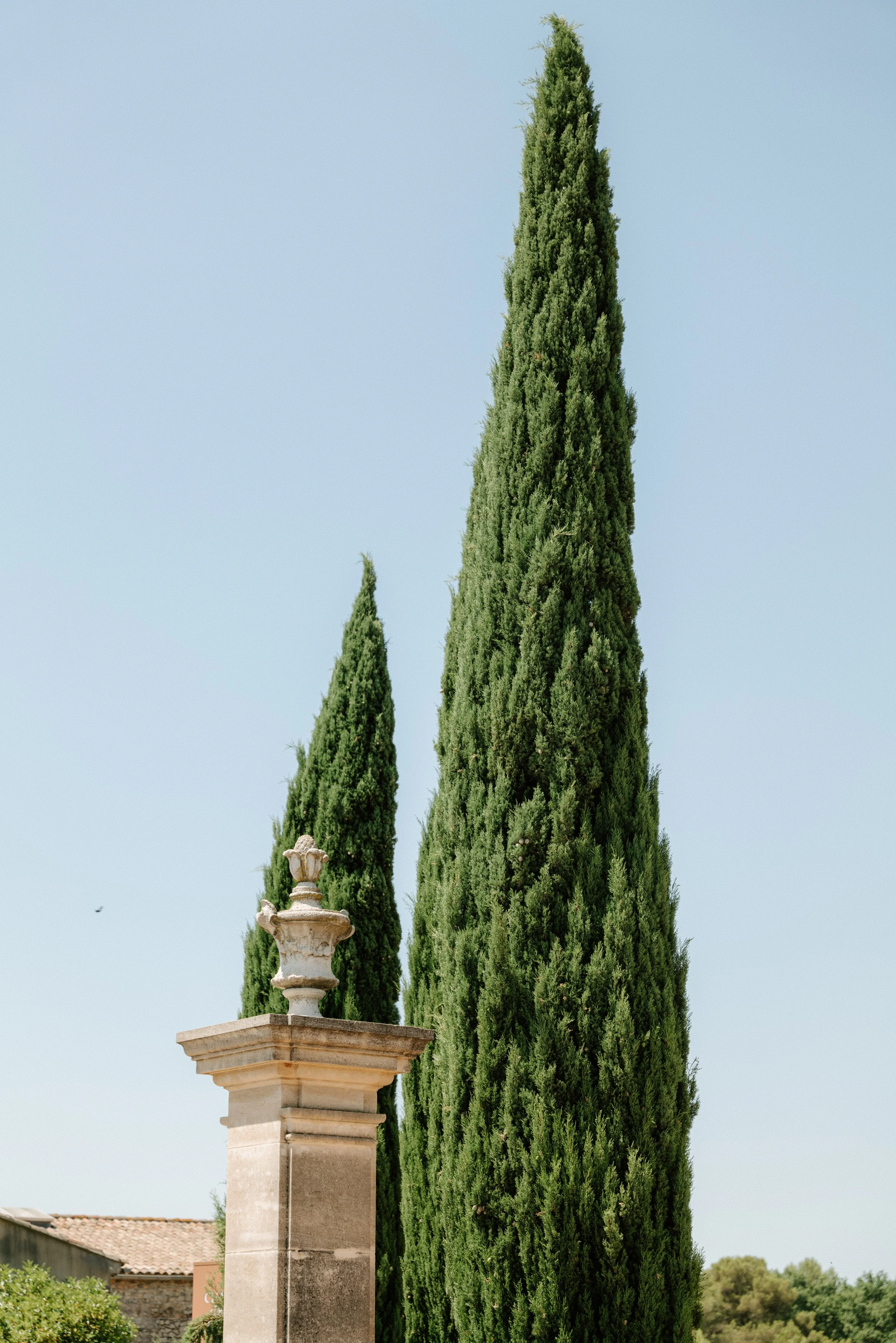 provence wedding photographer -CharlènePélutPhotographes-2.jpg