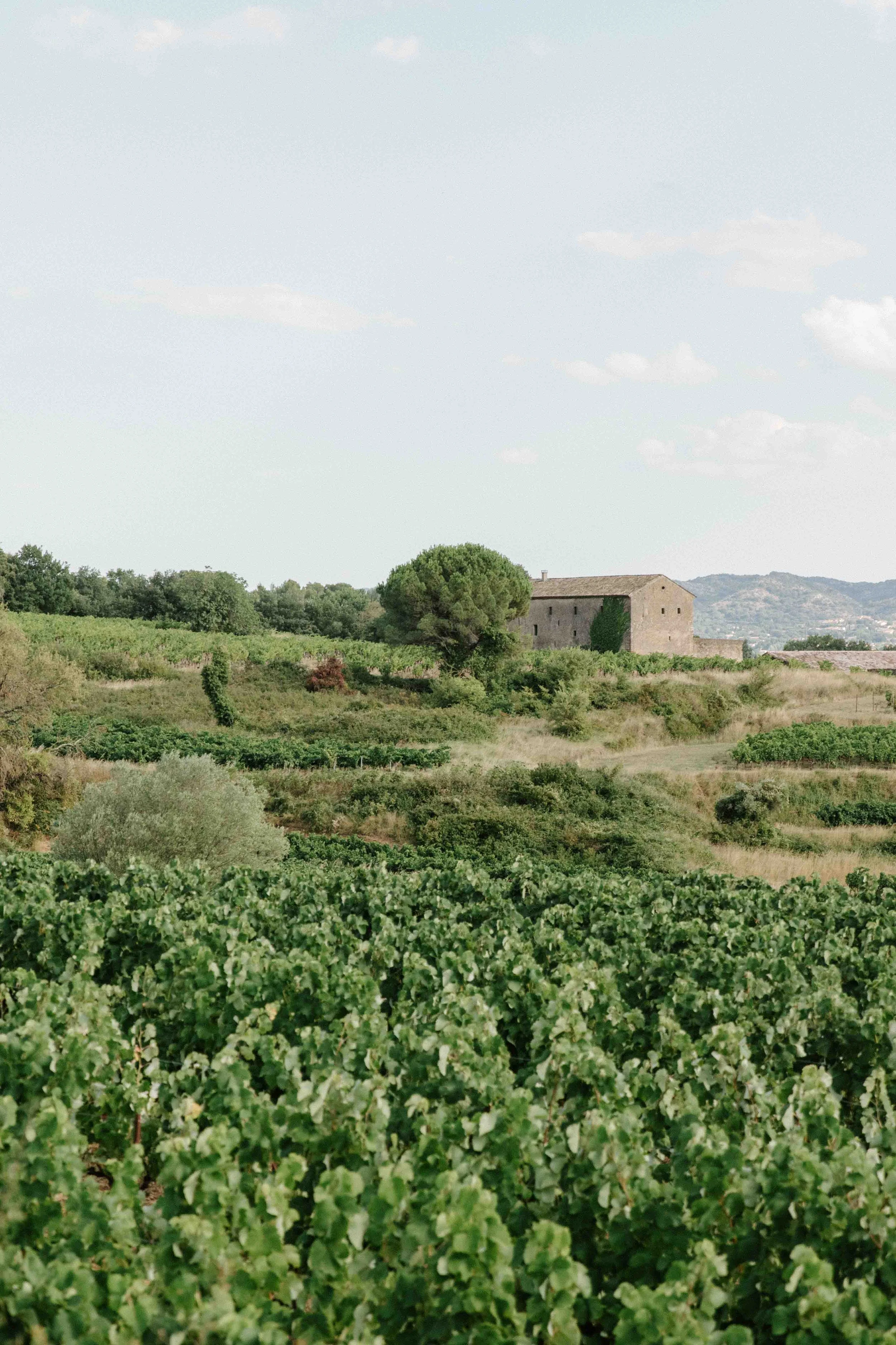 ClemenceetNicolas-@bellin.megane@ponthus.nancy_CharlènePélutPhotographes-1250.jpg