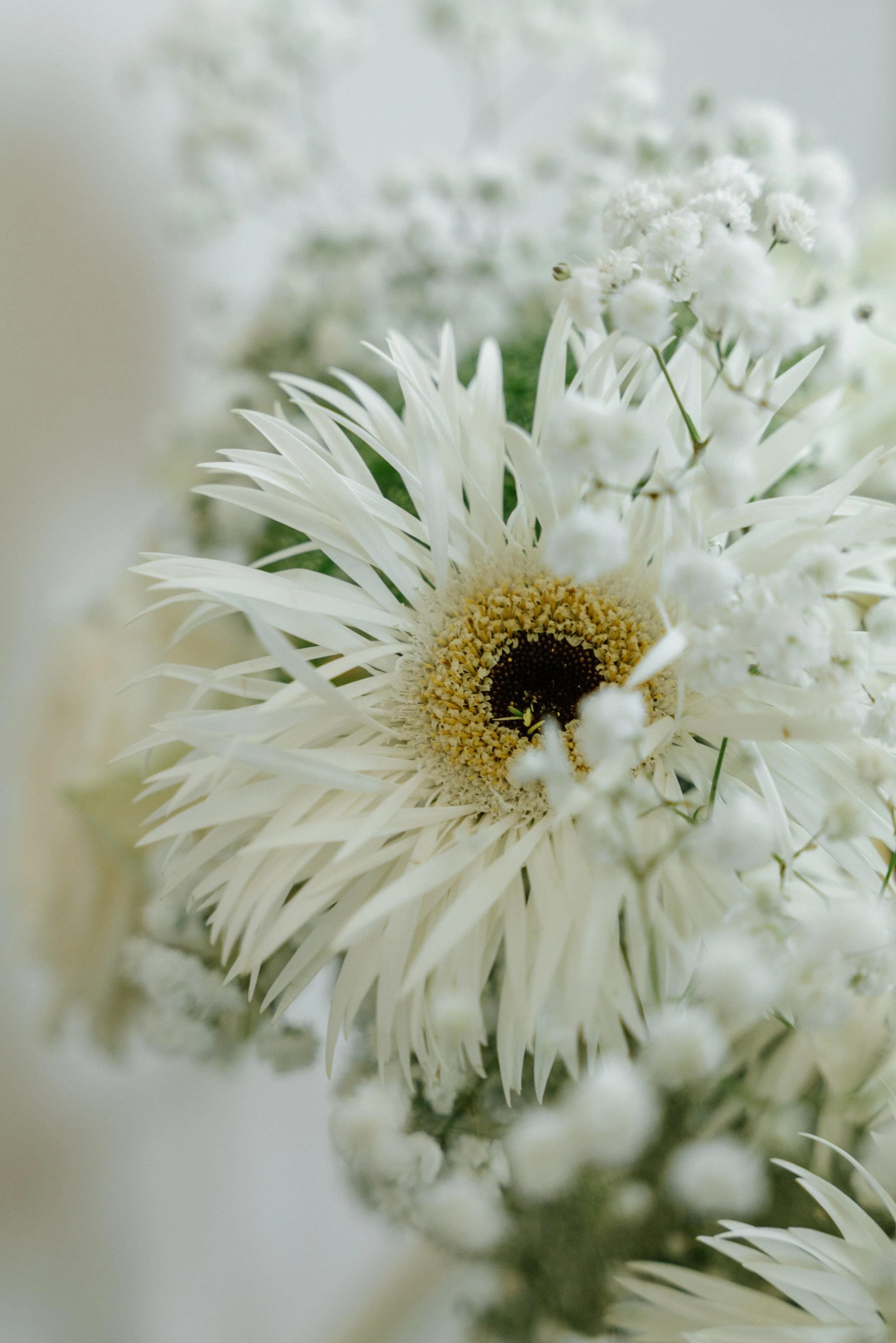 provence wedding photographer -CharlènePélutPhotographes-121.jpg