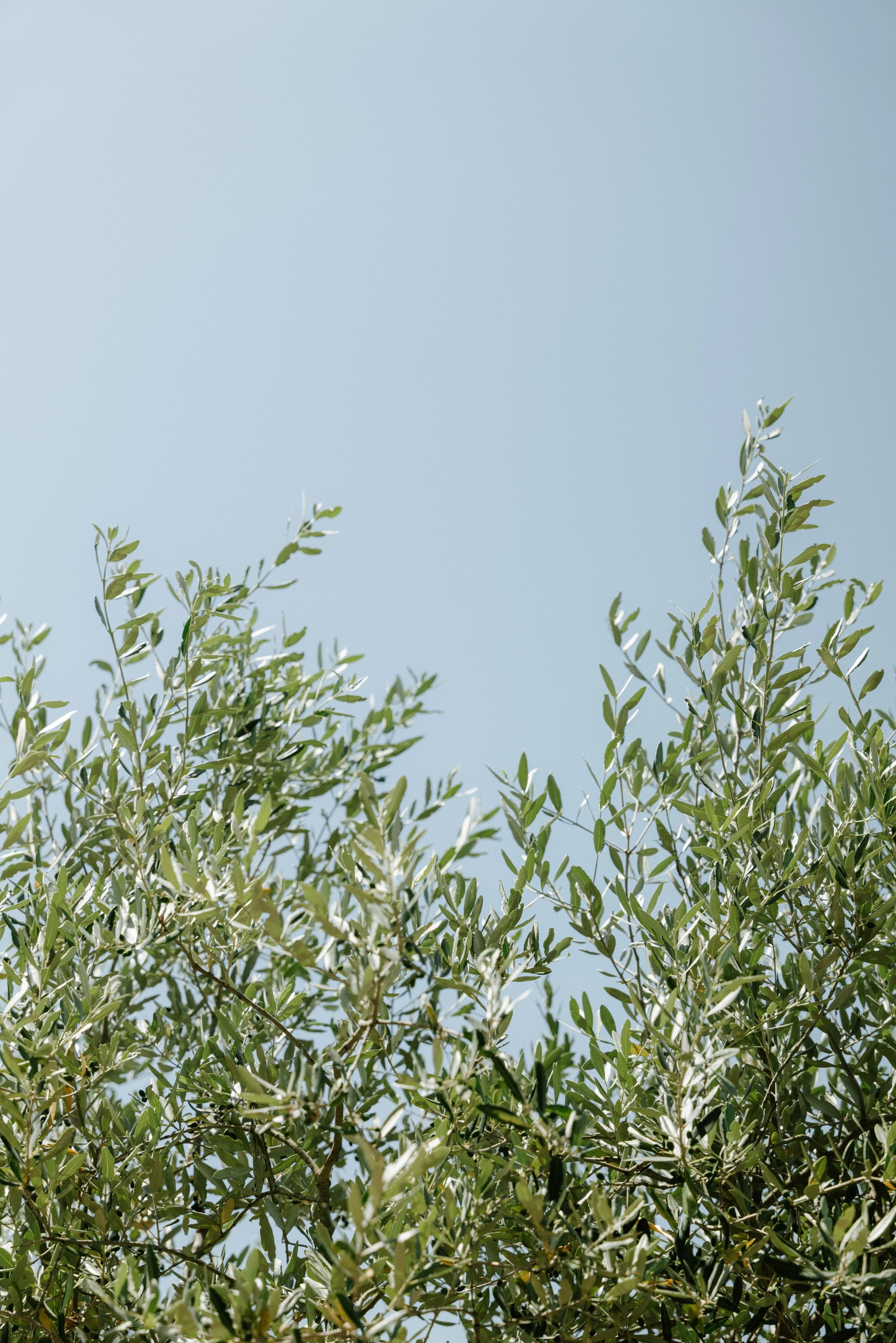 destination wedding photographer -CharlènePélutPhotographes-2.jpg
