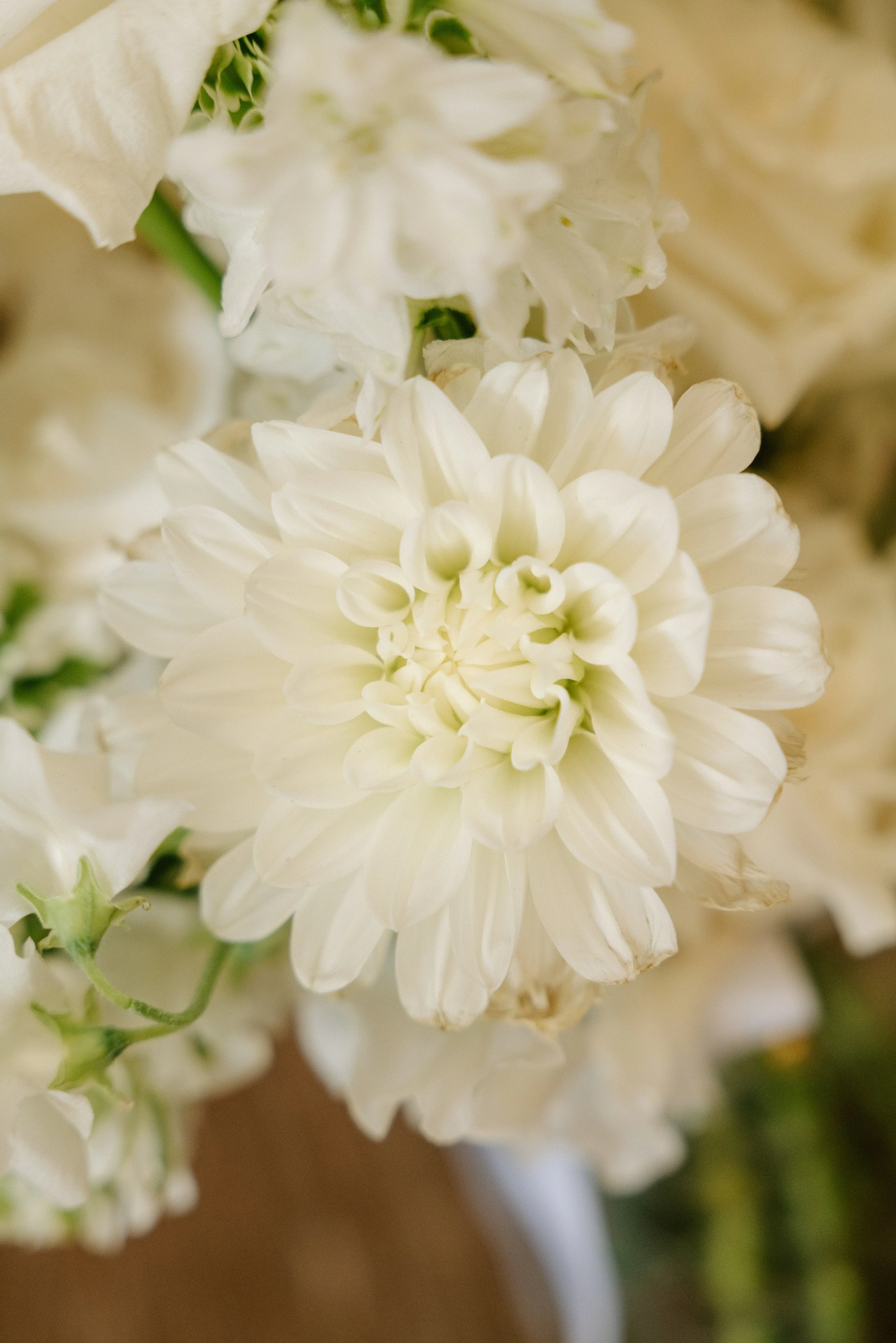 French riviera wedding- Charlène Pélut Photographes-18.jpg