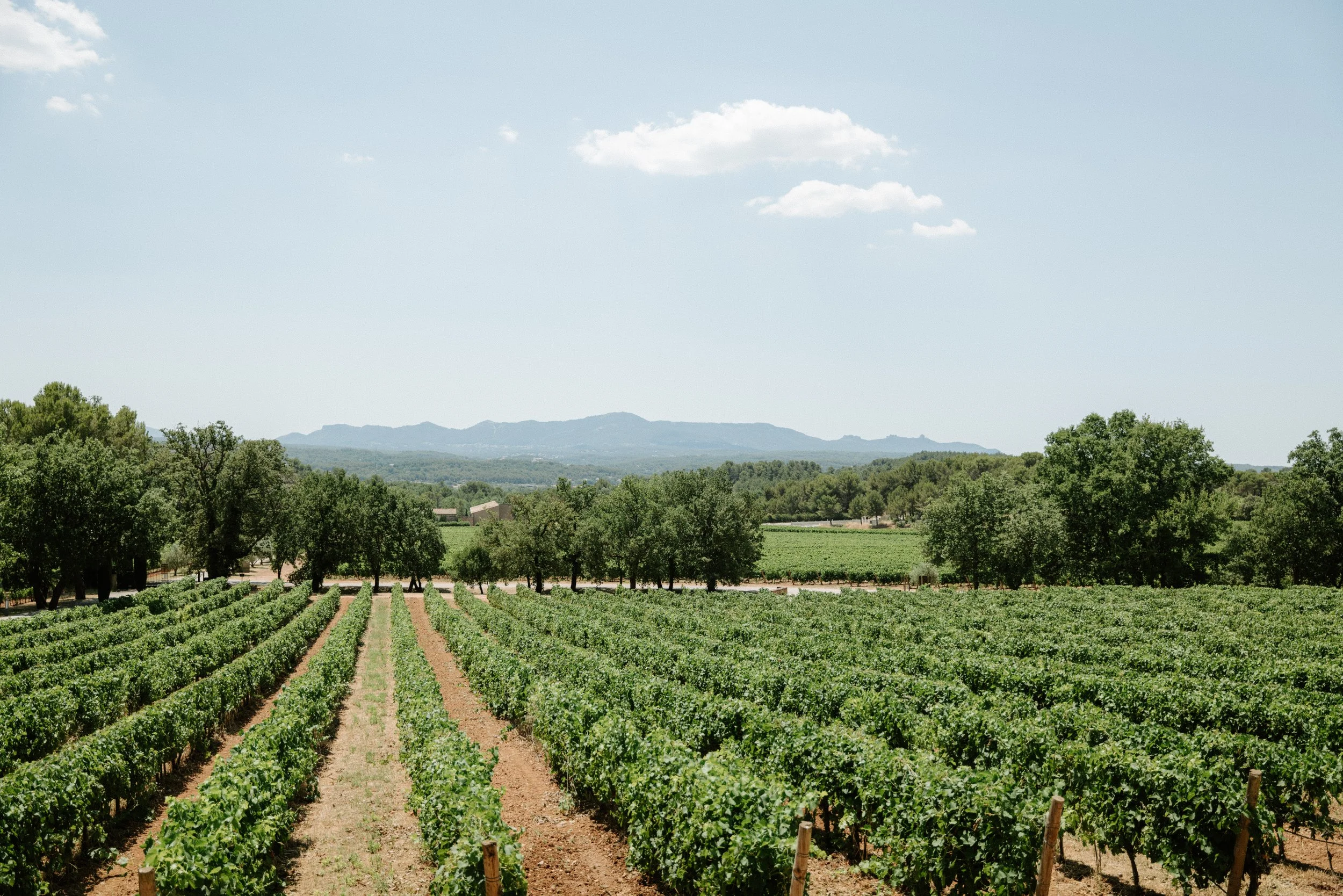 provence wedding photographer -CharlènePélutPhotographes-23.jpg