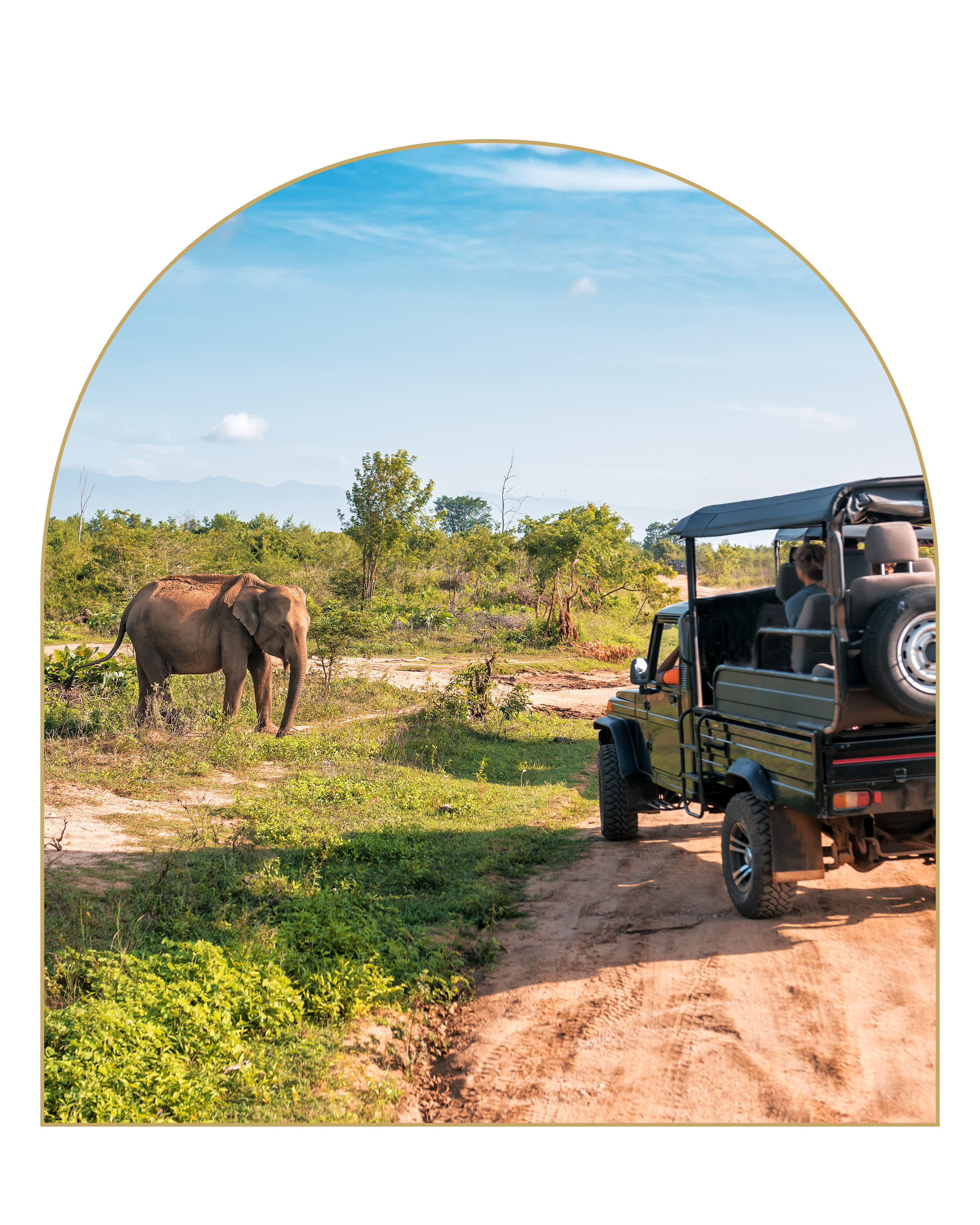Elephants walking on a dirt road near green trees and hills with a blue sky and clouds, seen from a safari vehicle