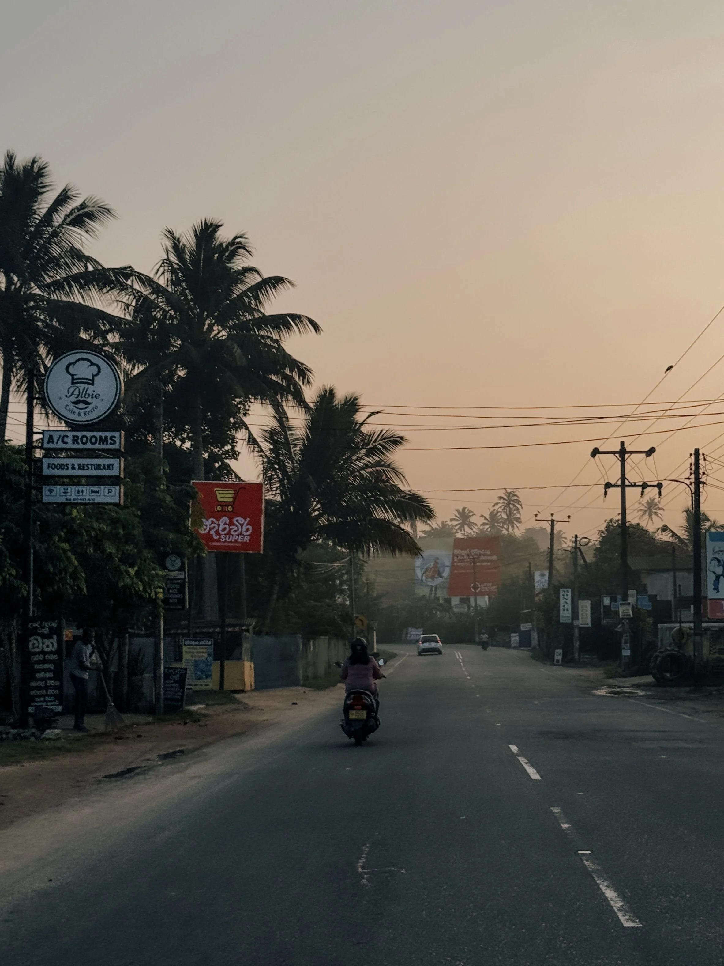 A road with a person riding a motorcycle, surrounded by palm trees and various signs, with power lines overhead, during dusk or dawn.