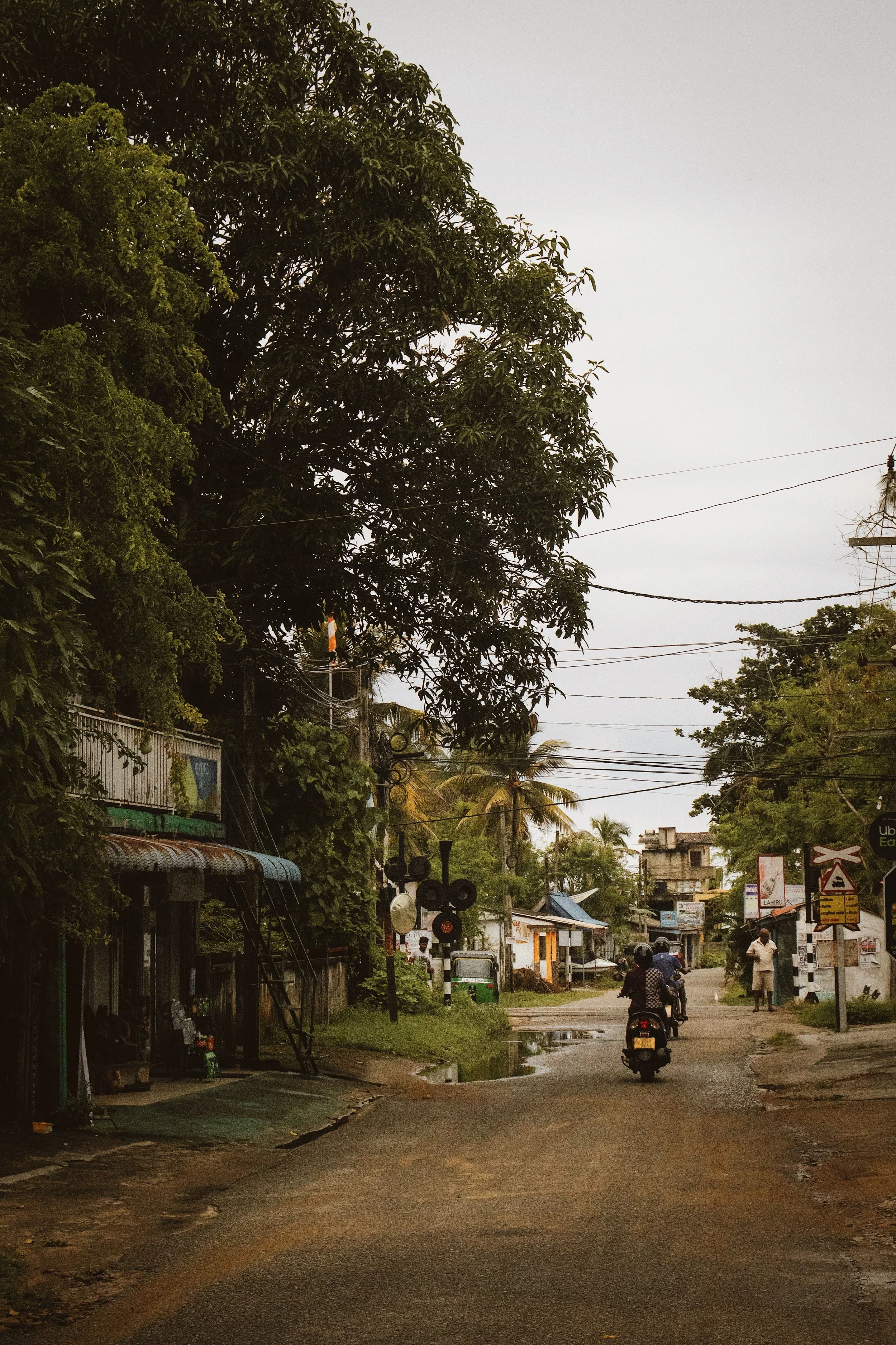 Street scene with vehicles and people, tall trees, power lines, buildings, and a cloudy sky.