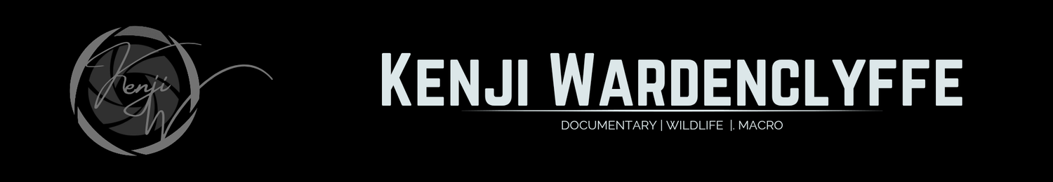 Kenji Wardenclyffe • Photographer