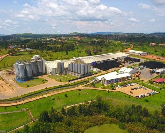 Aerial view of an industrial complex with silos, warehouses, and storage tanks, surrounded by green fields and trees.