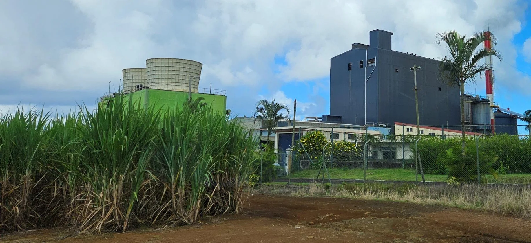 Industrial factory with blue and green structures surrounded by a fence, with palm trees, grassy areas, and a dirt foreground under a partly cloudy sky.