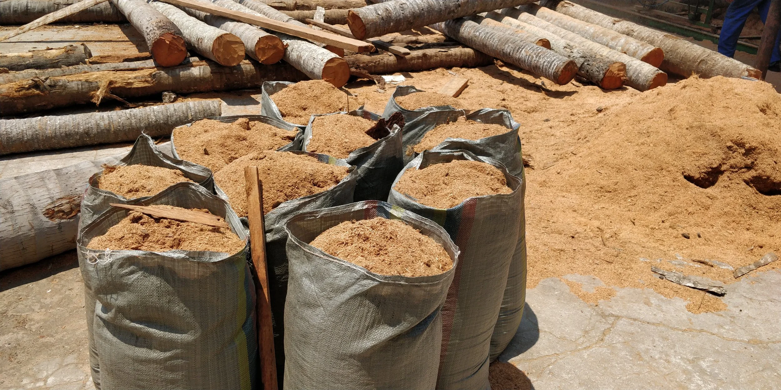 Bags of sawdust or wood shavings, stacked on top of each other, with several logs of wood and scattered sawdust on the ground.