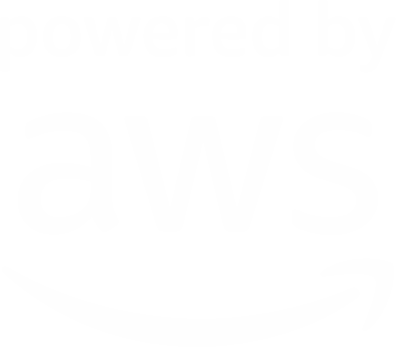 Ikona chmury Amazon Web Services — infrastruktura i poufność dokumentów w serwisie ETHI-LEX.