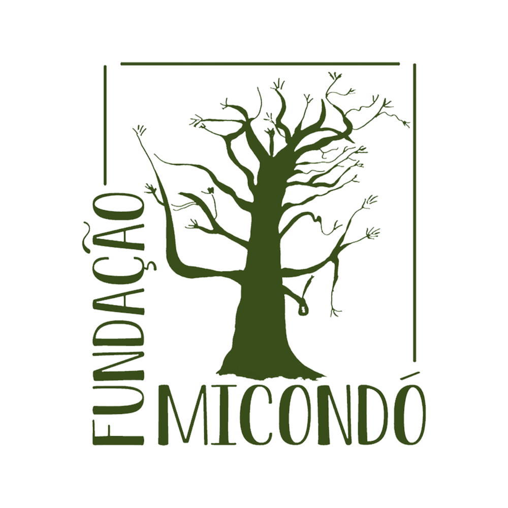 Fondation Micondó