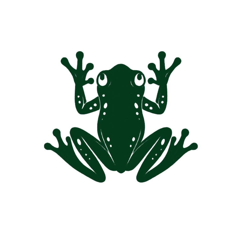 Illustration d'une grenouille verte vue de face, avec ses pattes levées.