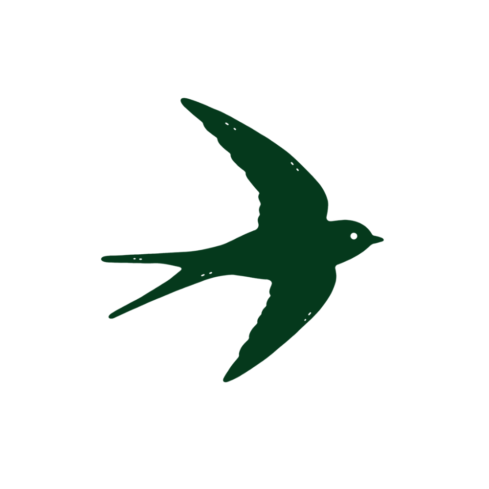 Silhouette d'un oiseau de couleur verte en vol.