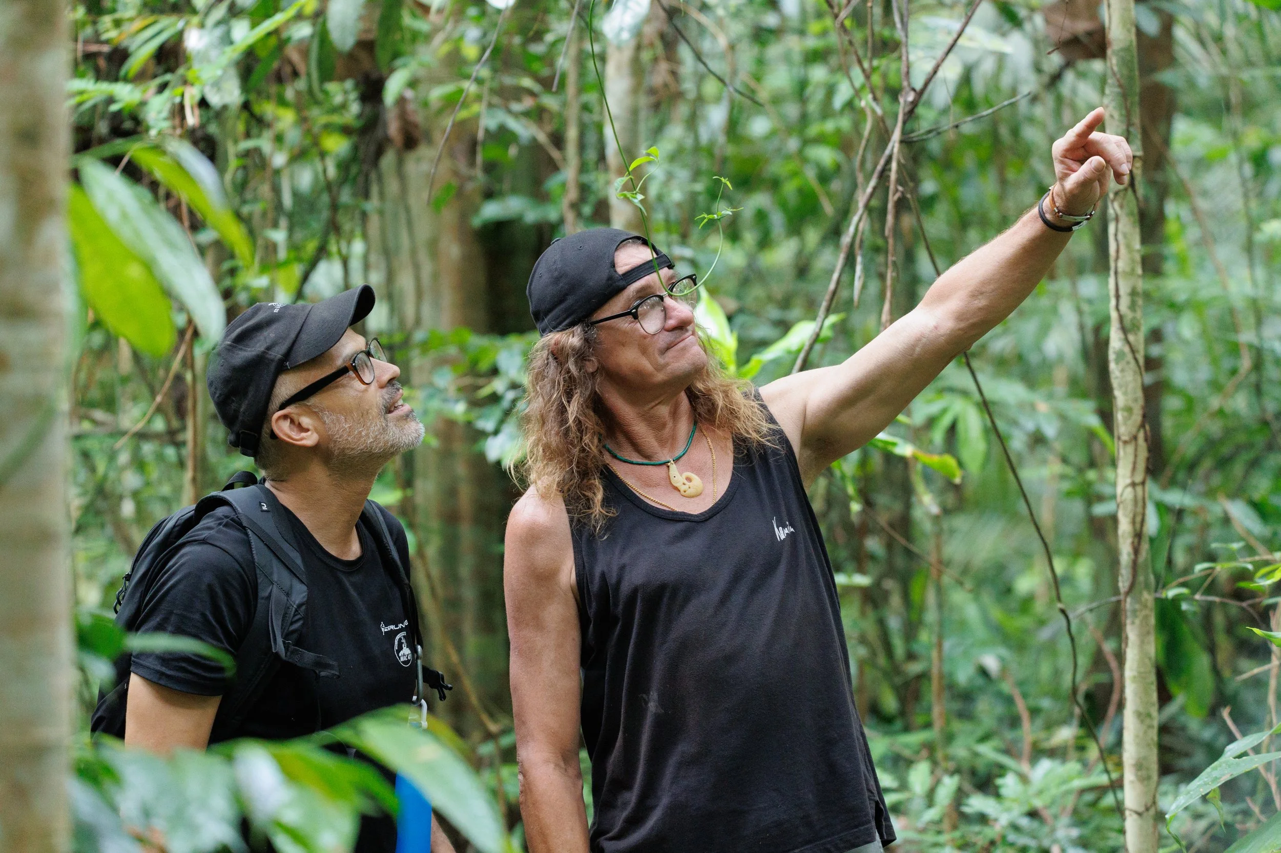 Deux personnes explorant une forêt tropicale verte, en train d'observer la végétation.