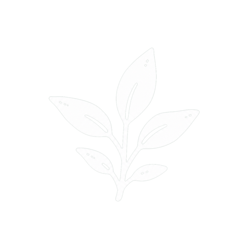 Illustration blanche d'une branche avec plusieurs feuilles sur fond noir.