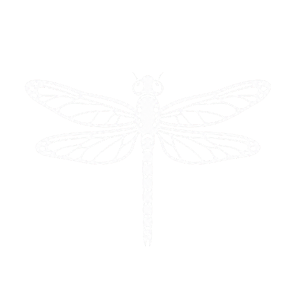 Dessin blanc d'une libellule stylisée sur fond noir.