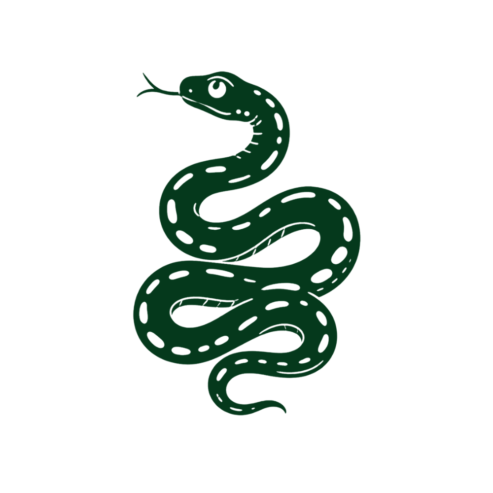 Serpent vert avec des taches noires sur fond noir