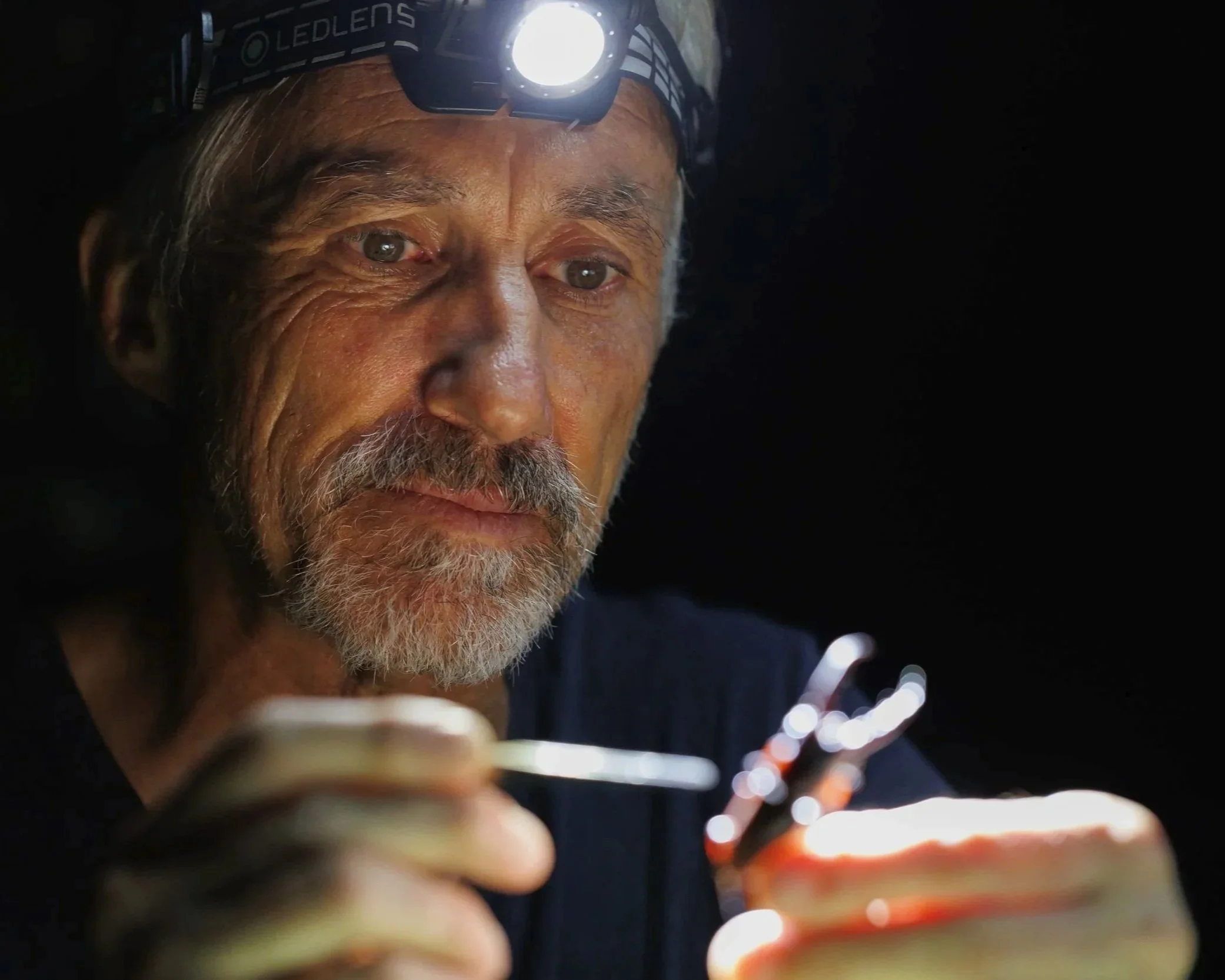Gérard Filippi, Microland