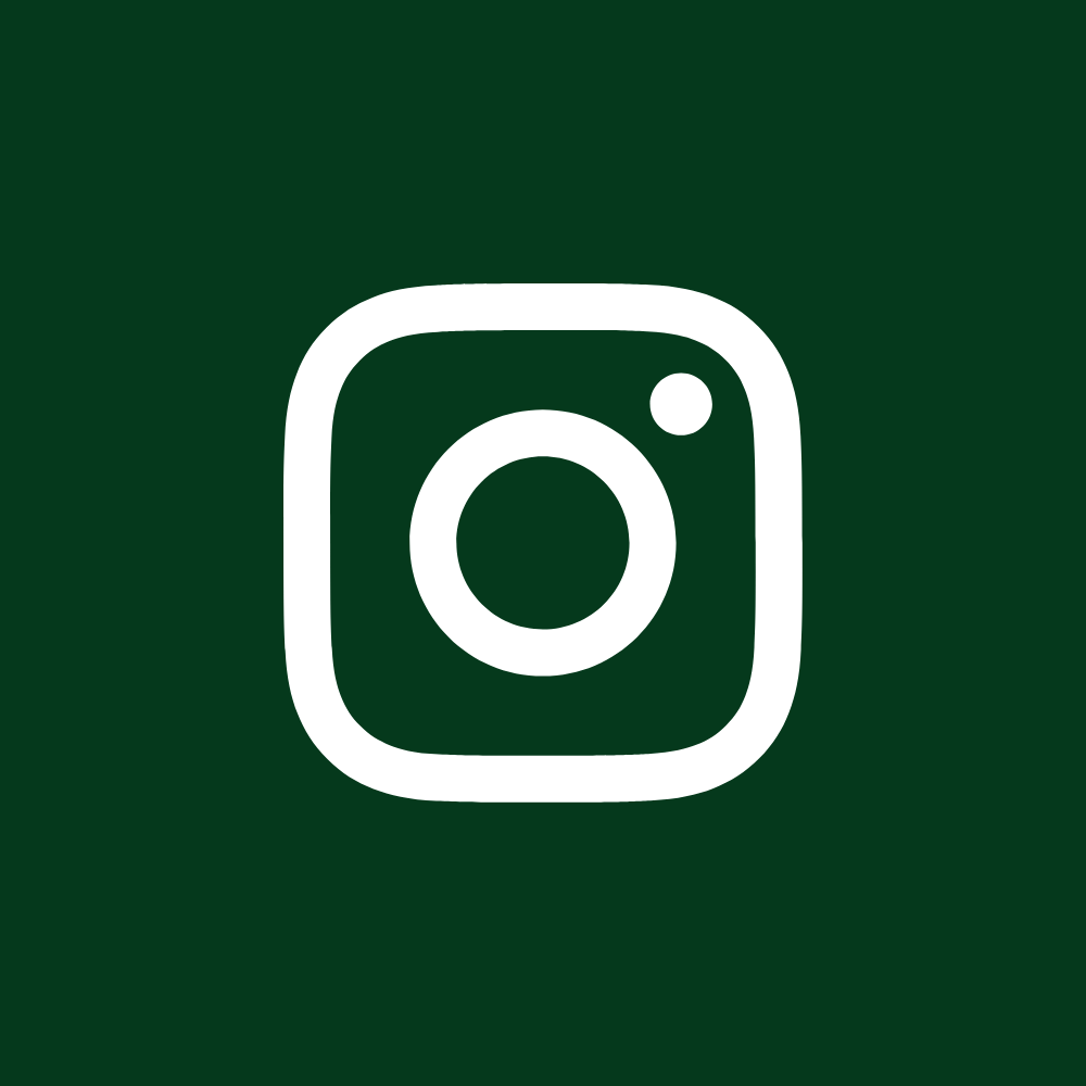 Logo blanc d'Instagram sur fond vert.