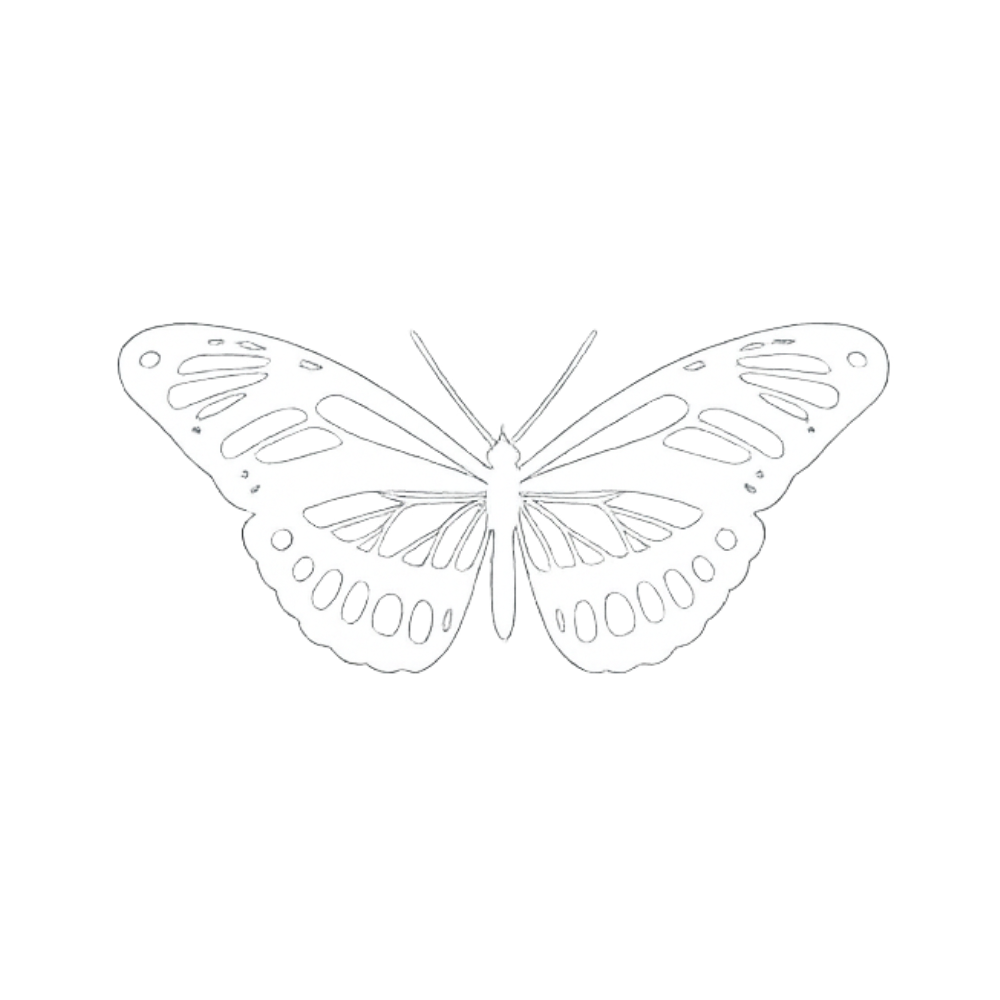 Illustration d'une papillon blanc avec des motifs sur ses ailes.