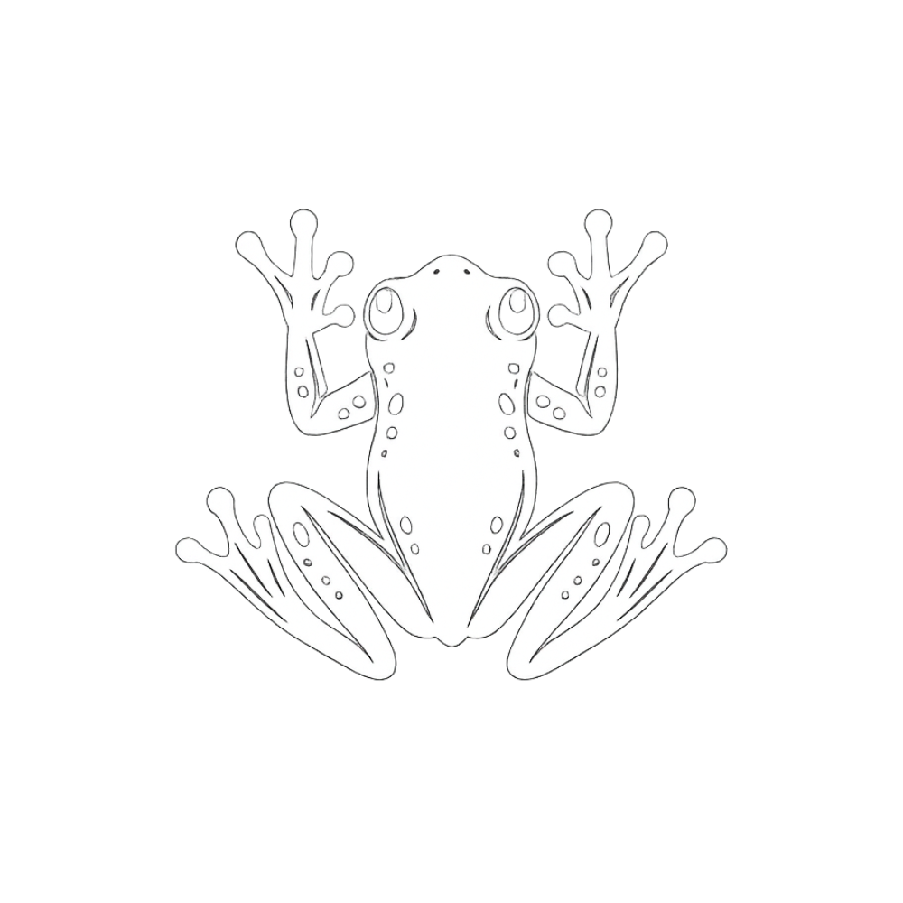 Illustration en noir et blanc d'une grenouille stylisée vue de face, avec ses membres déployés.