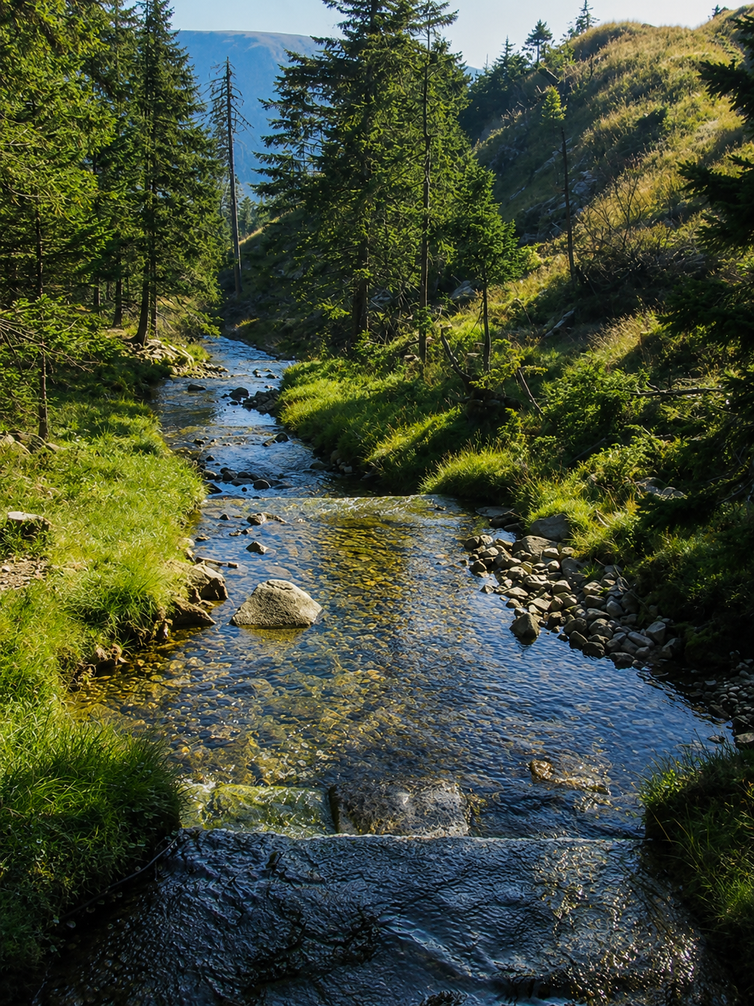 Národní park Šumava 