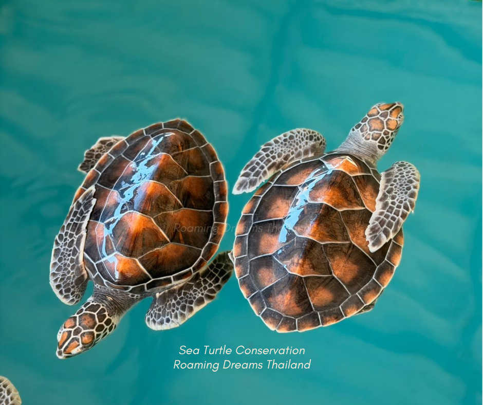 132.png