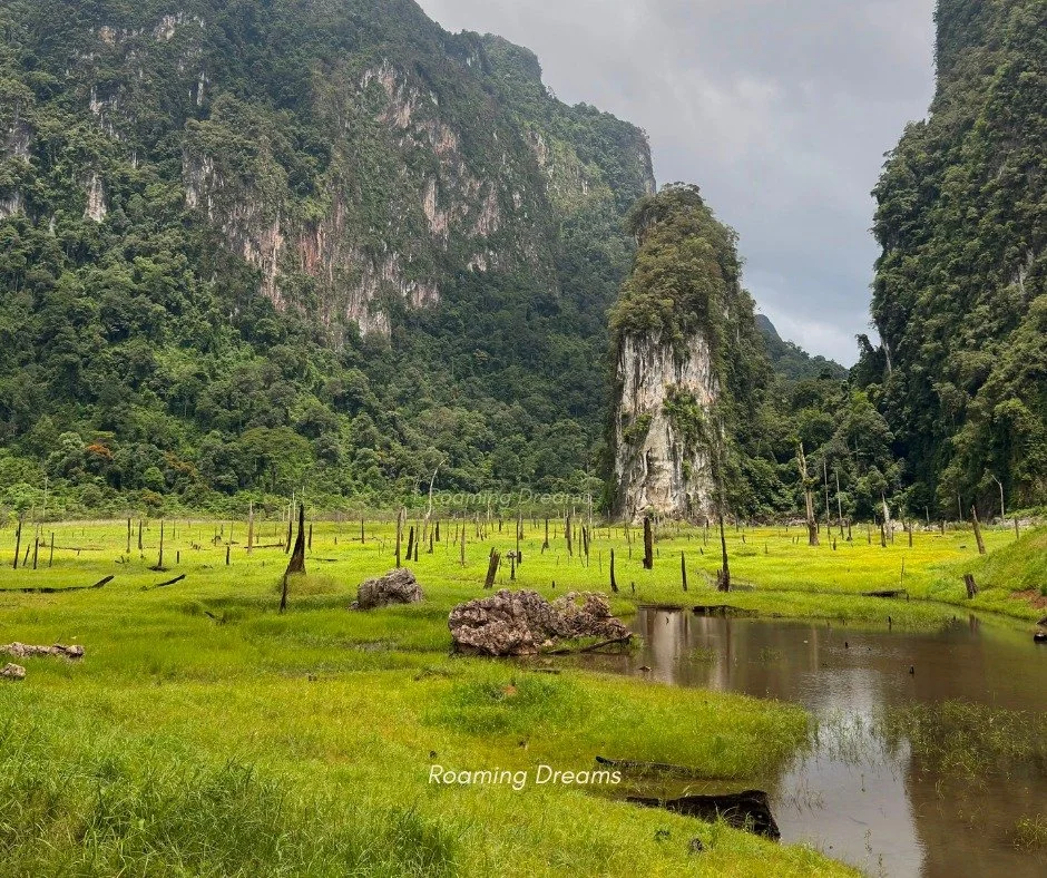 The Enchanting Vibes of Cheow Lan Lake ✨🌿

Right in front of "Prakai Petch Cave", the lower water level reveals a lush green landscape. Paired with the misty morning air of the rainy season, the view feels truly surreal&mdash;almost like s