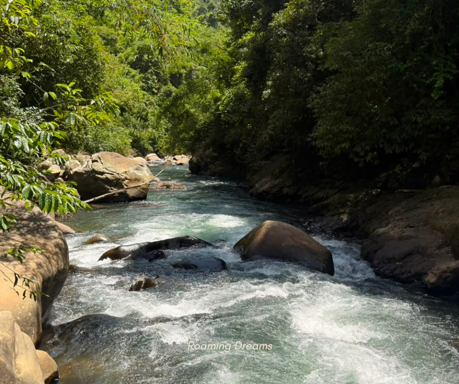 Journey into the Heart of Khao Sok