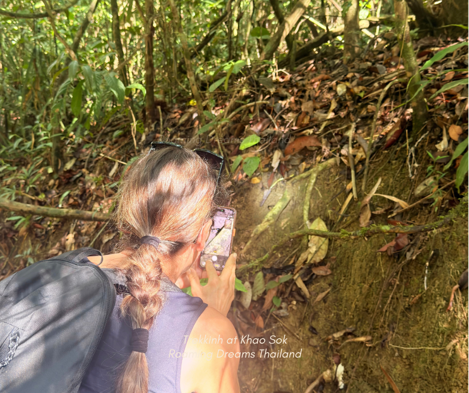 Lost in the Magic of Khao Sok: A Journey Through Earth’s Oldest Rainforest
