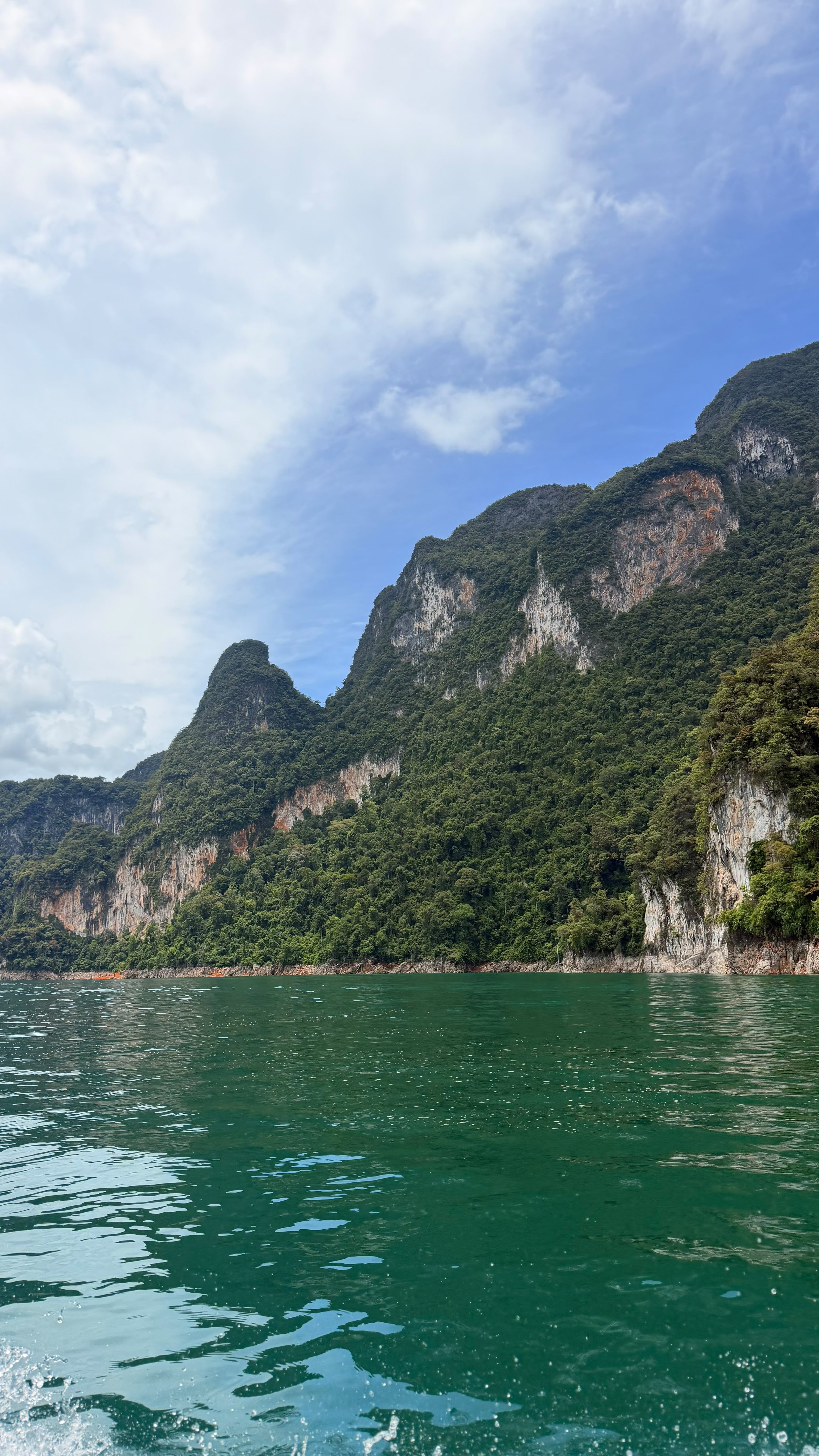 acc383a1-b407-470c-b248-4226fd84a6b1.jpg