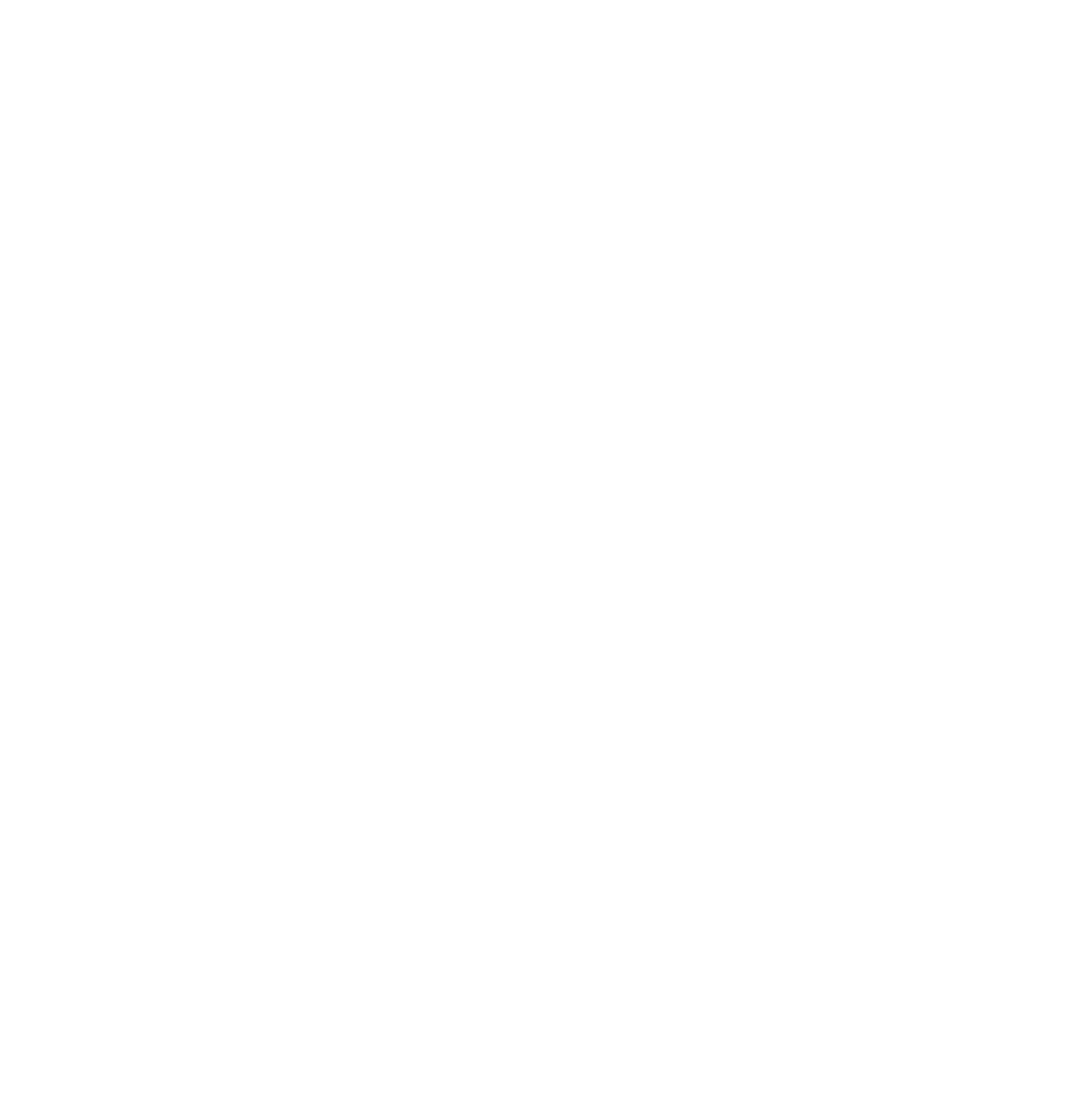 Black and white circular logo with the letters 'B' and 'T' inside a black circle, surrounded by a white border.