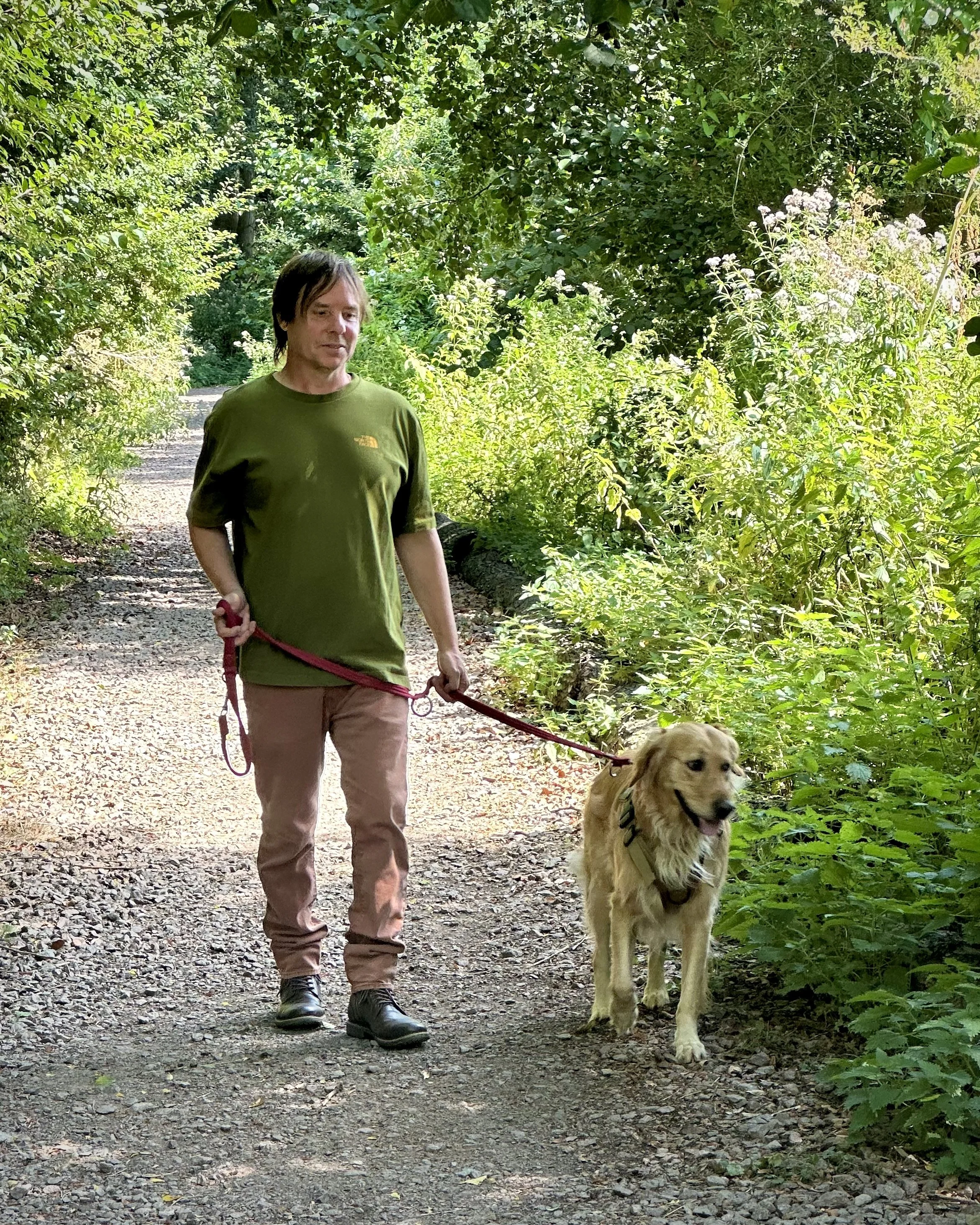 A man walking a golden retriever on a leash downtown on a trail.