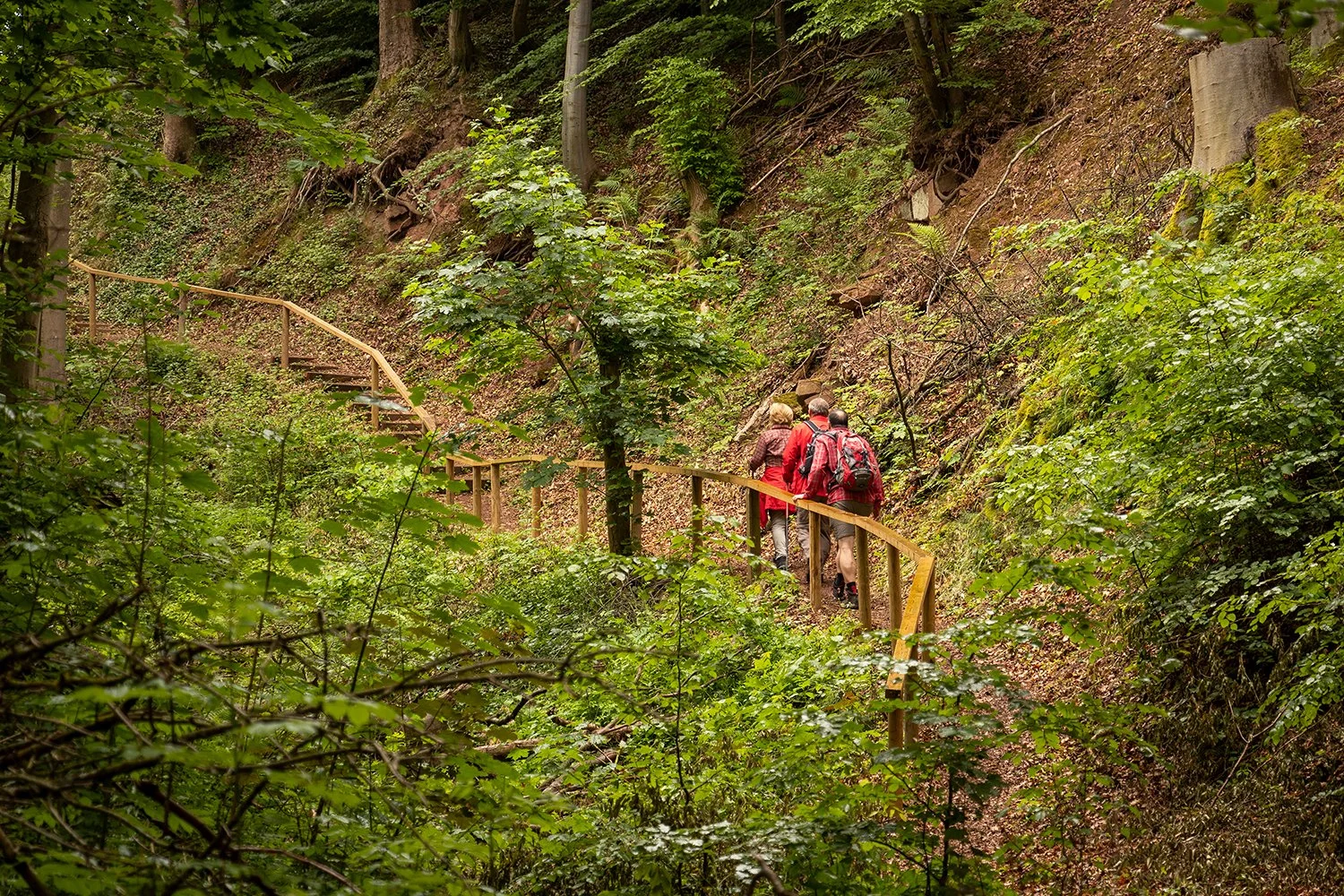 Ritterschlucht Vogelkundepfad