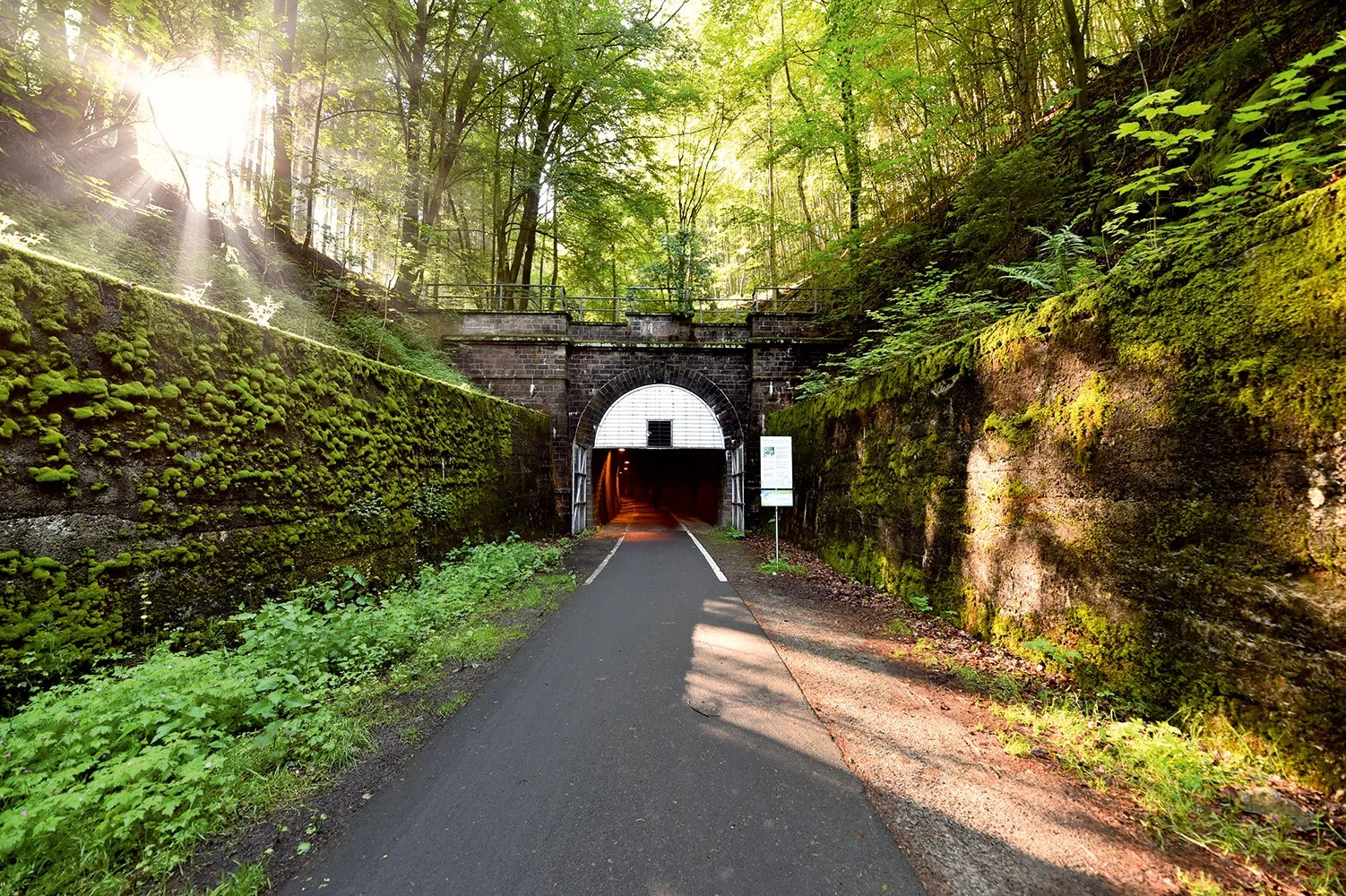 Eingang Tunnel Milseburgradweg