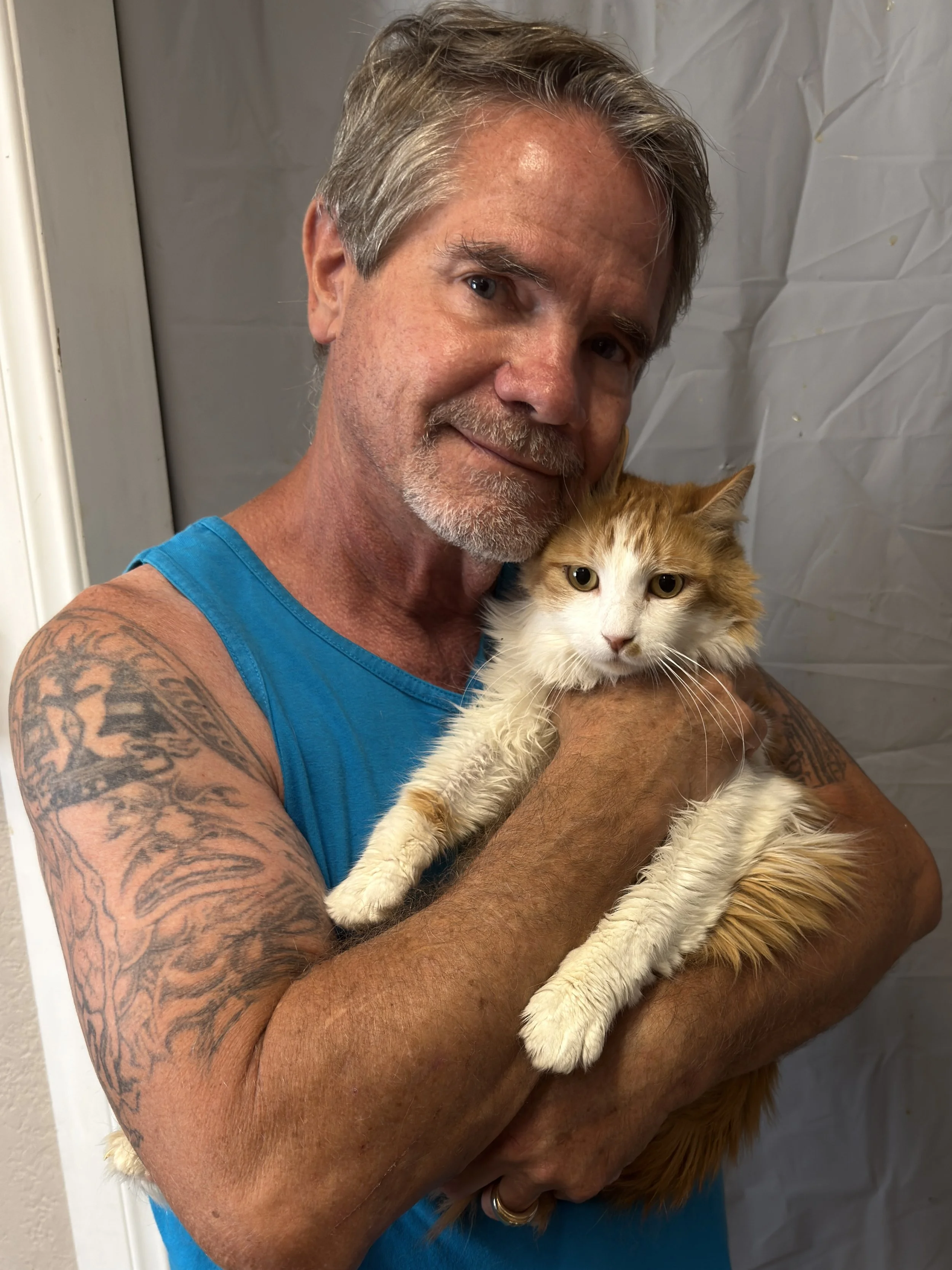 If you've found a cat