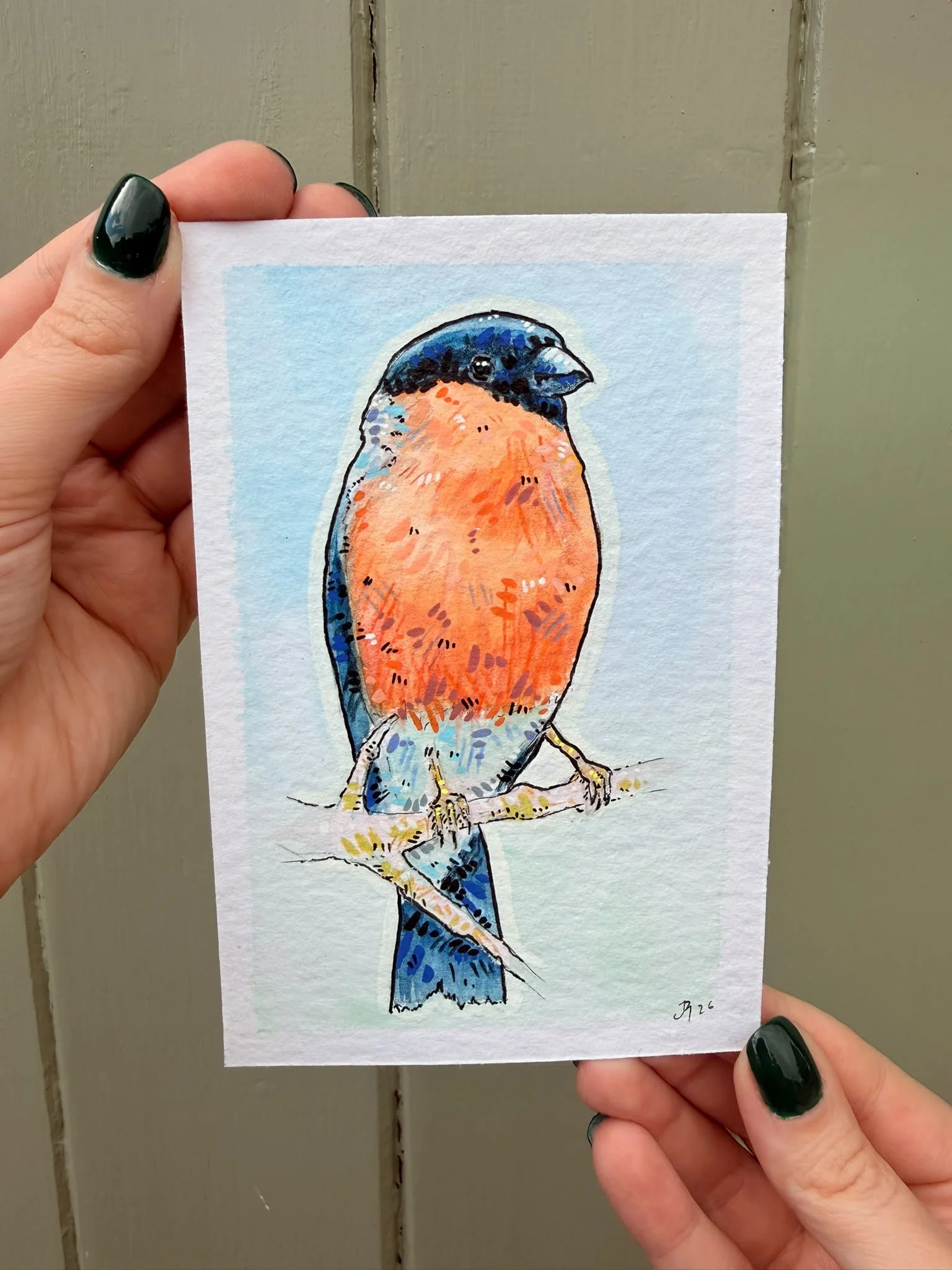 Bull Finch Painting