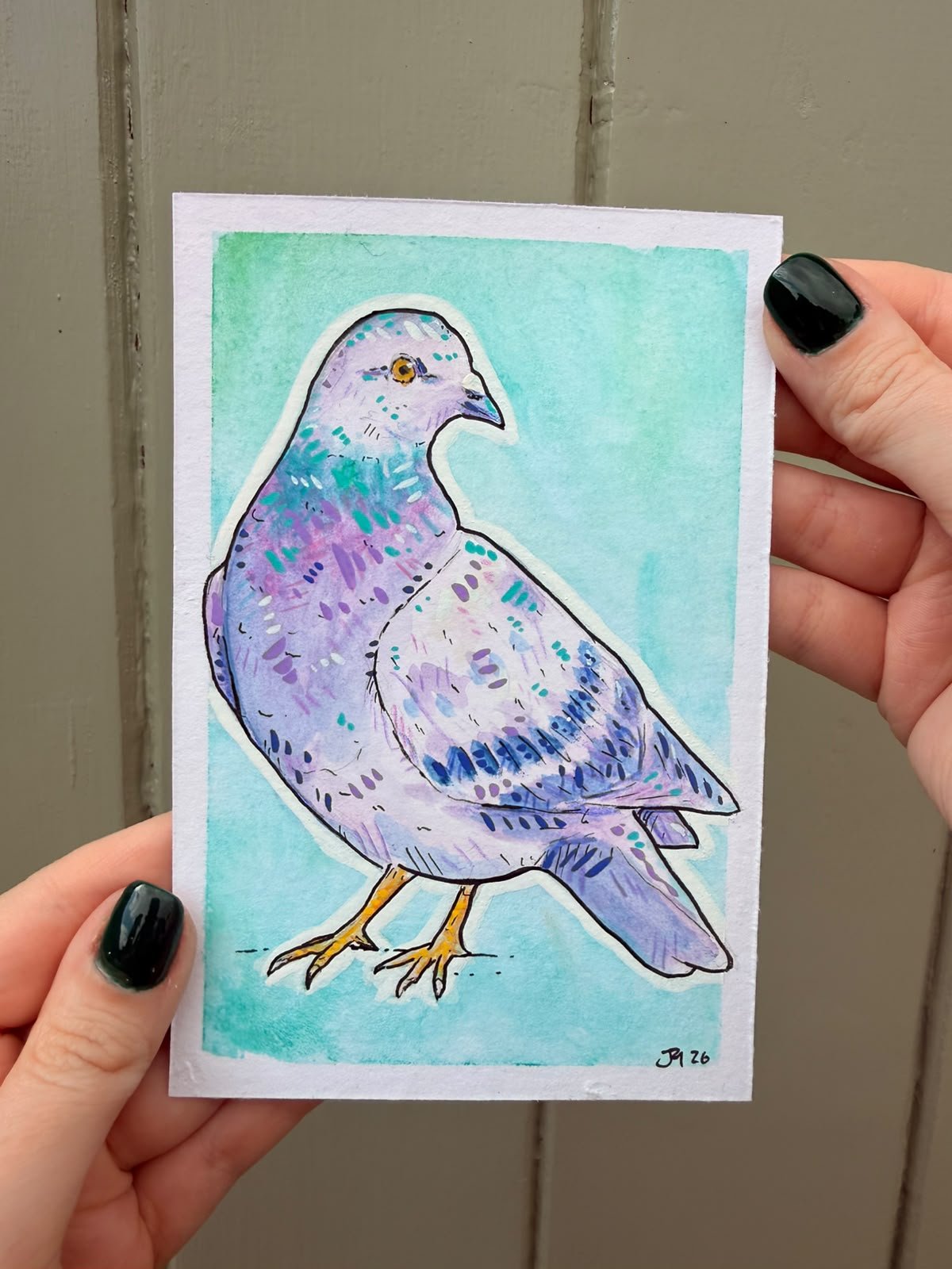 Pigeon Painting