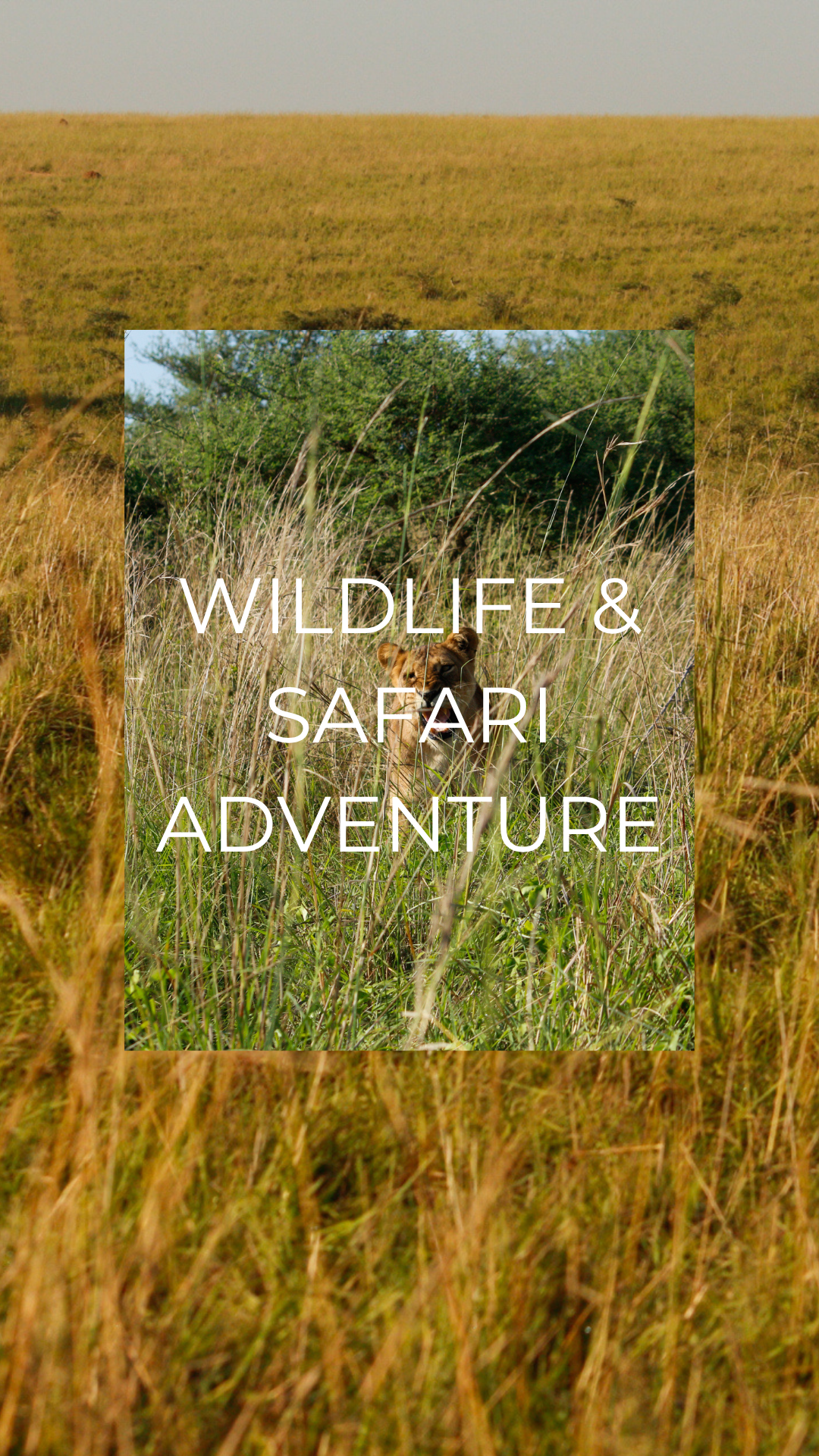 Wildlife and safari tours Uganda