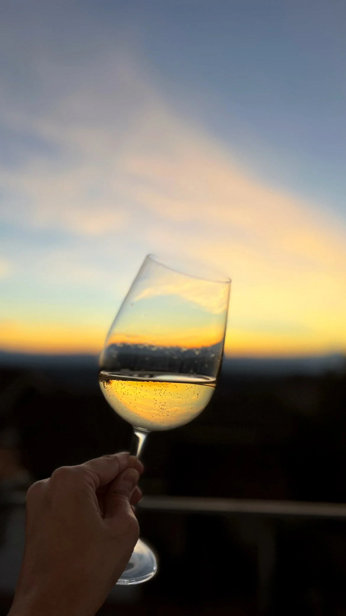 Verre à vin blanc tenu par une main, avec un coucher de soleil en arrière-plan dans le ciel.