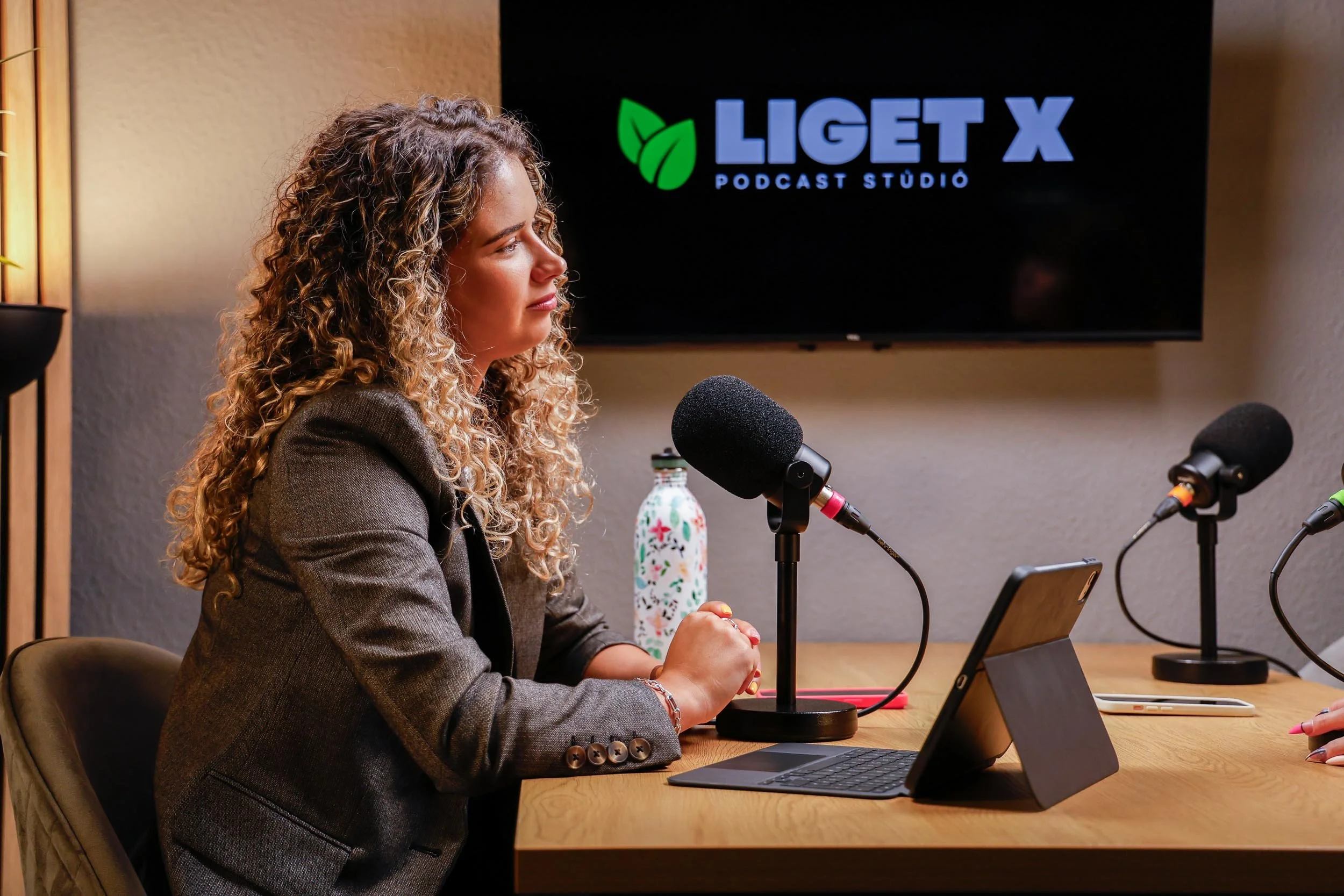 Liget X-20.jpg