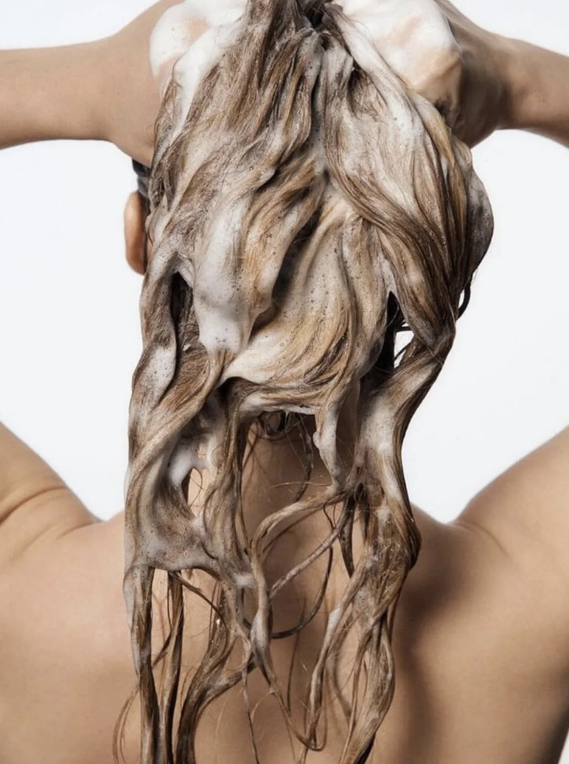 Person with long, wet, soap-covered hair, facing away and washing hair with hands on head.