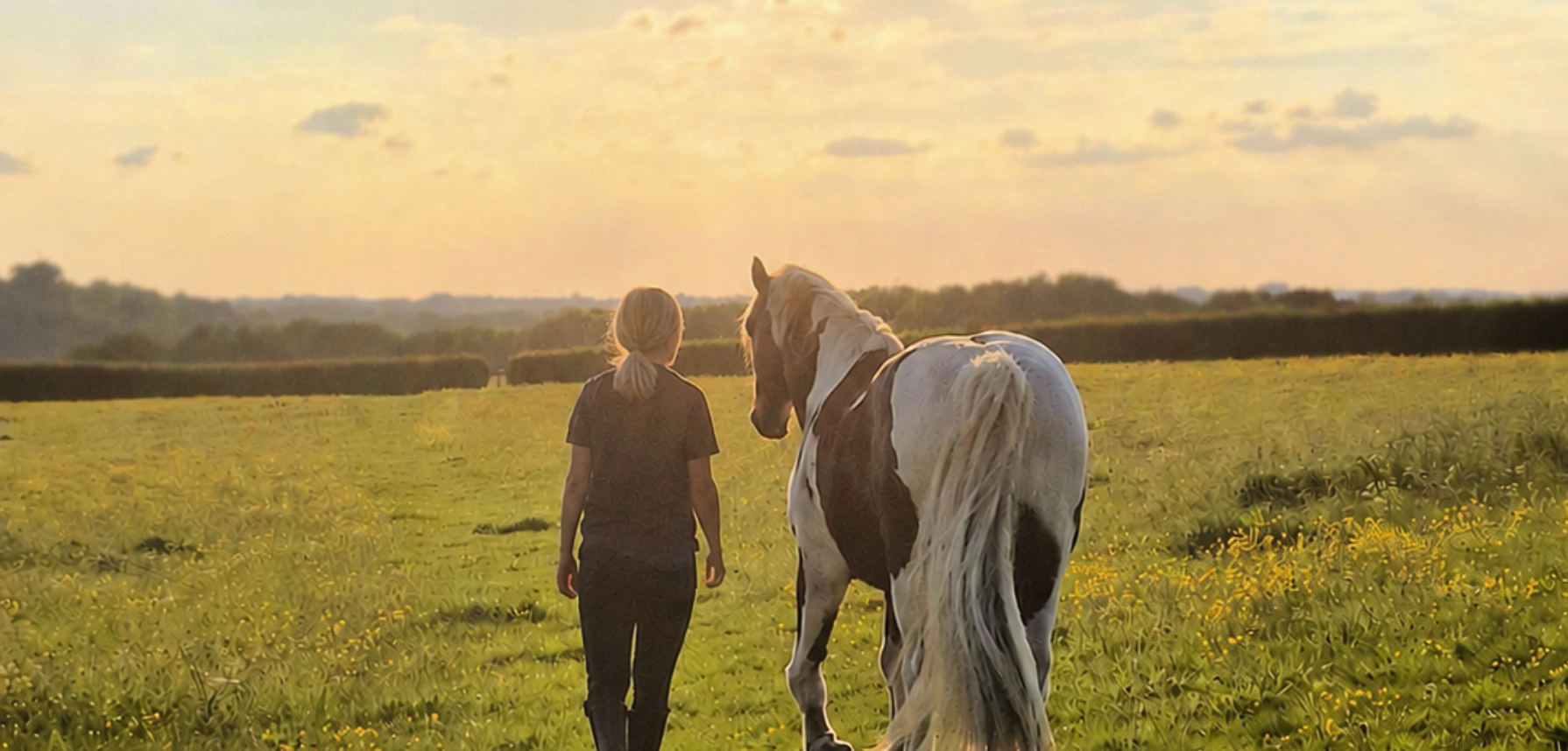 A woman walking with a white and brown horse in a field at sunset.